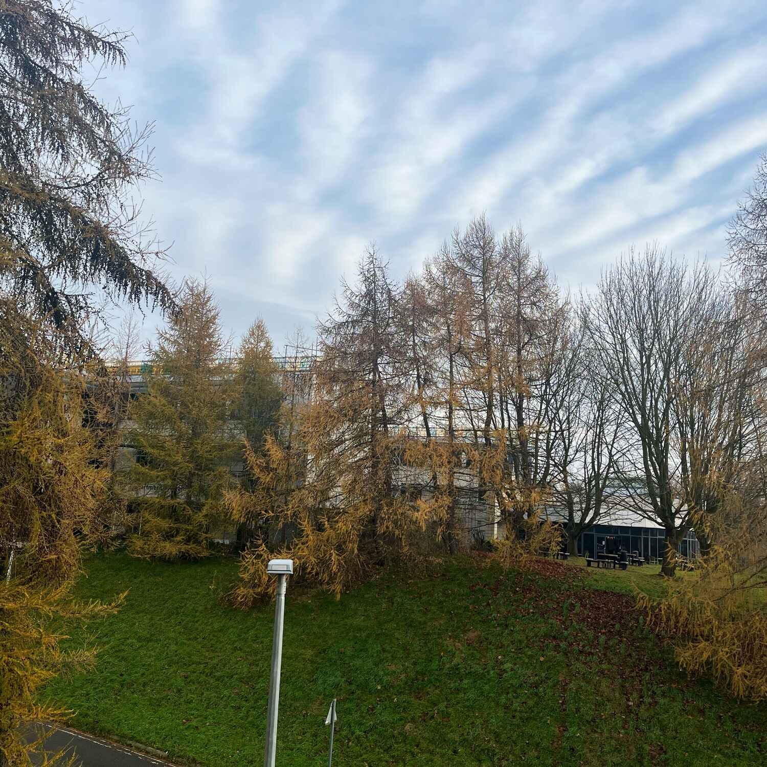 Wednesday 4 December 2024.