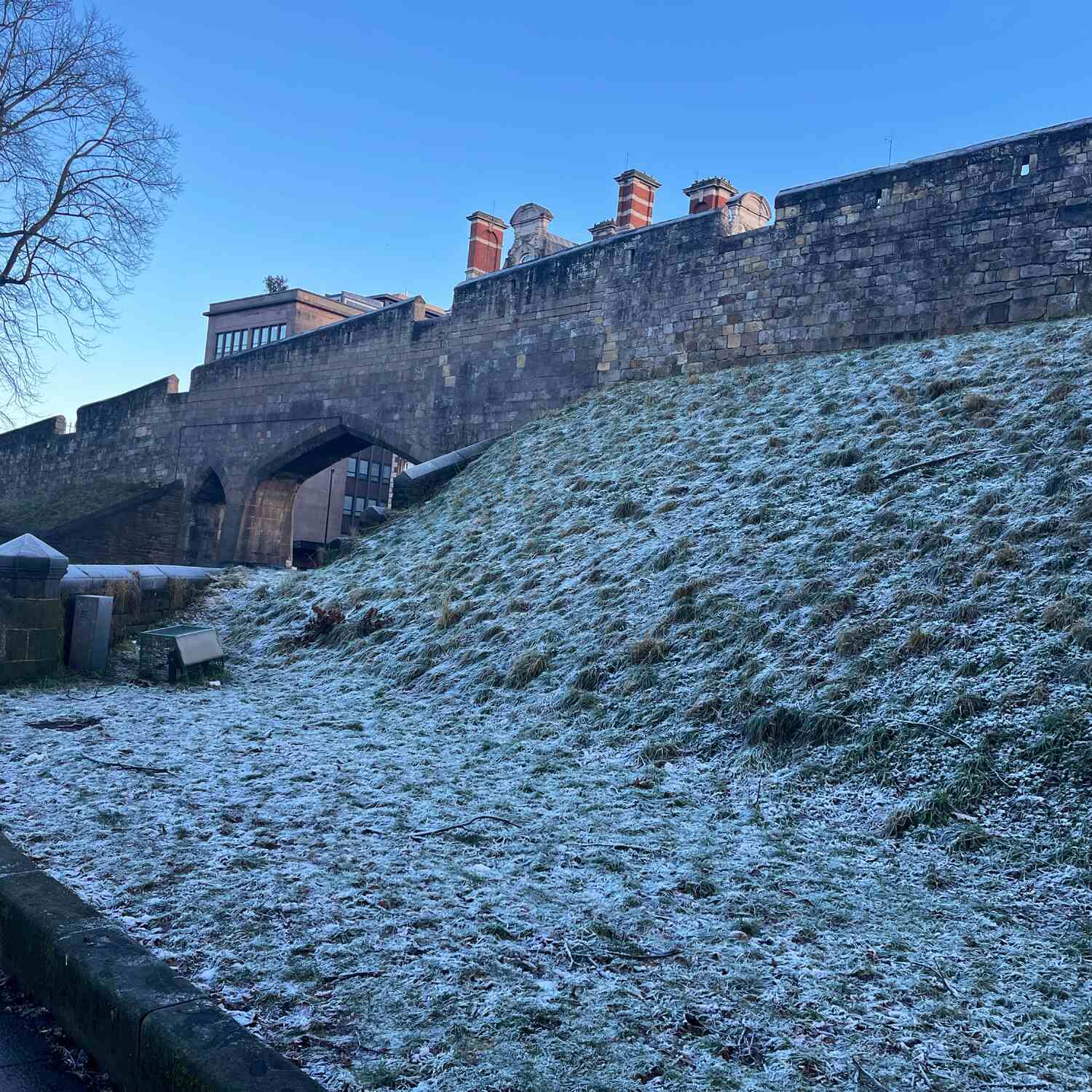 Saturday 11 January 2025.