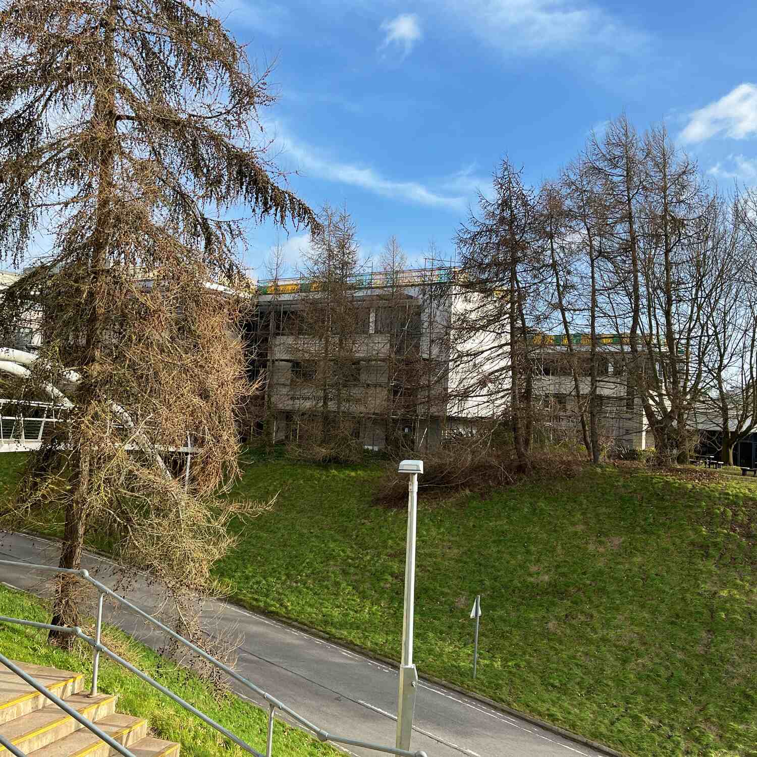 Friday 24 January 2025.