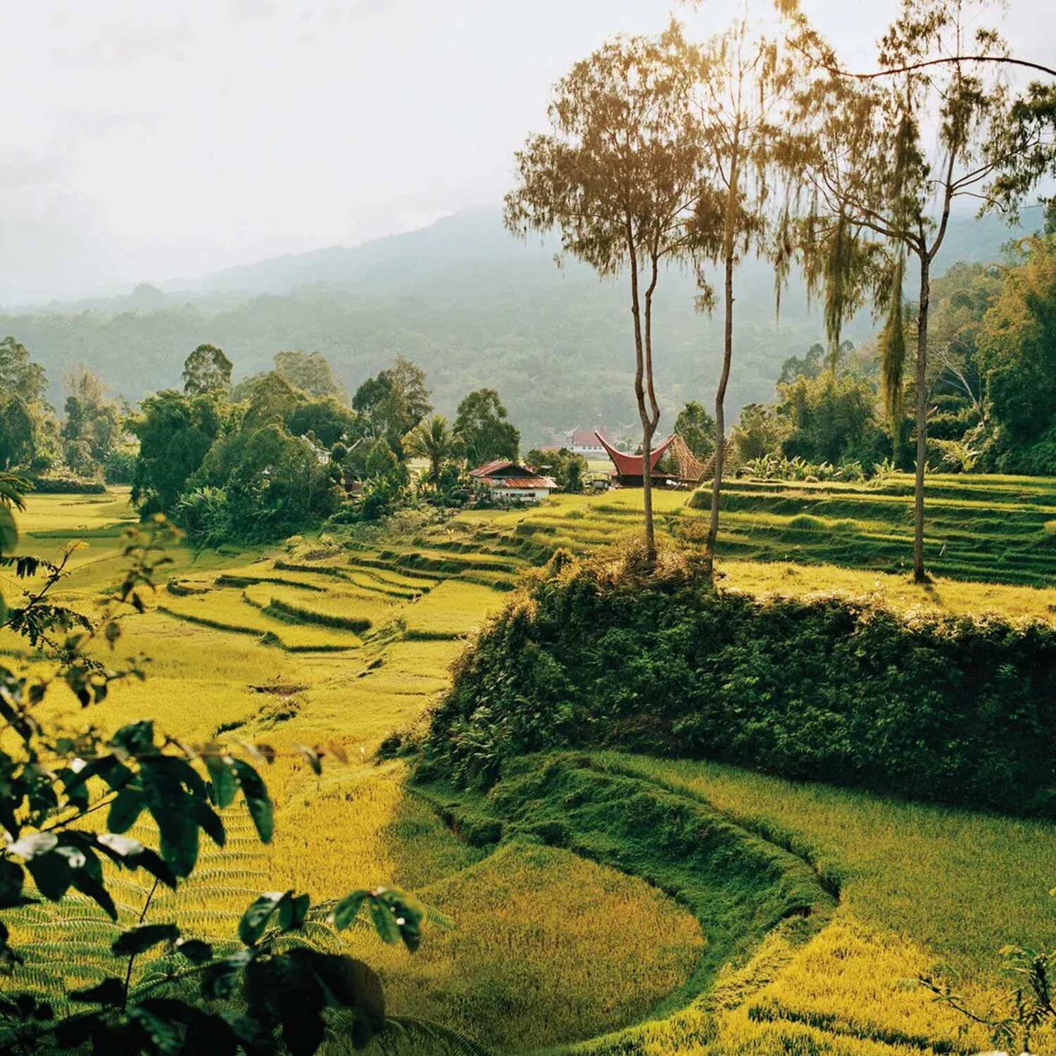 Honeymoon SouthEastAsia
