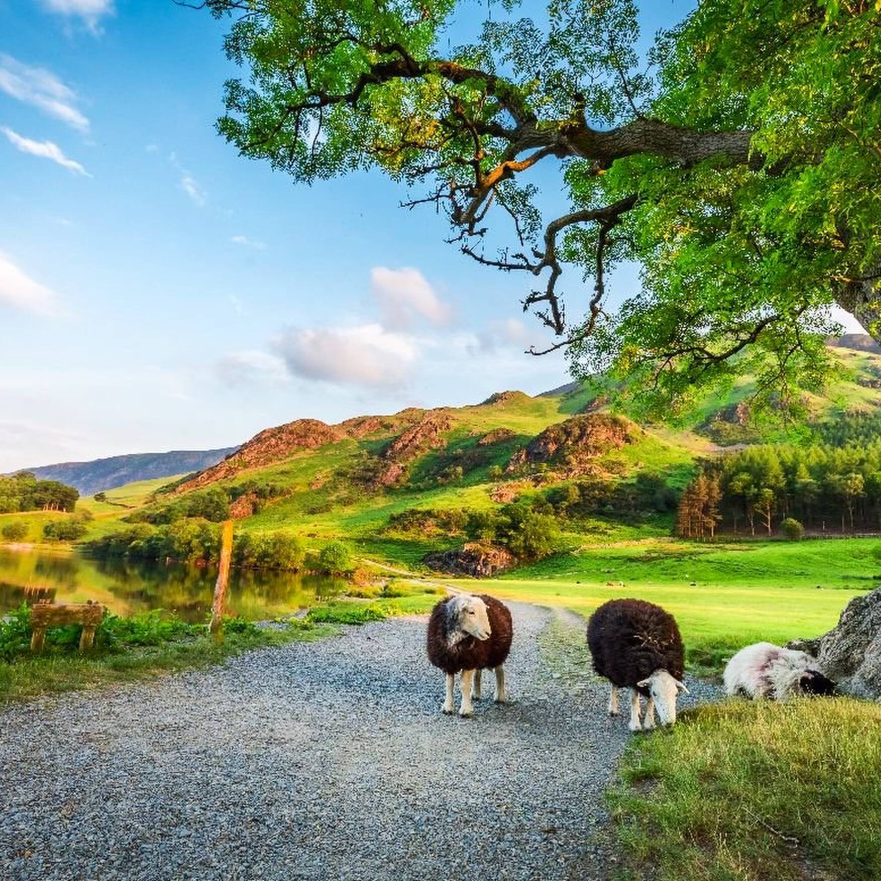 Wales summer 2023