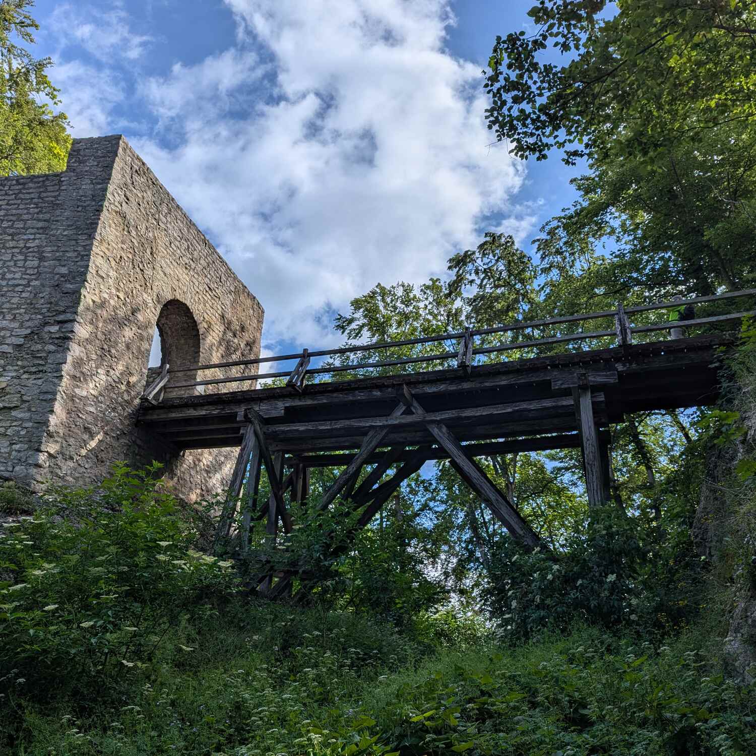 Ruine Rauber (Diepoldsburg)