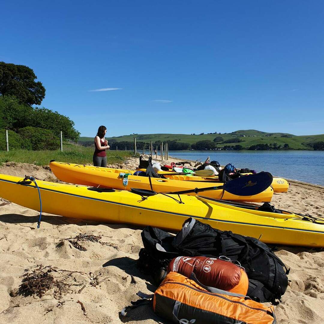 Tomales Bay