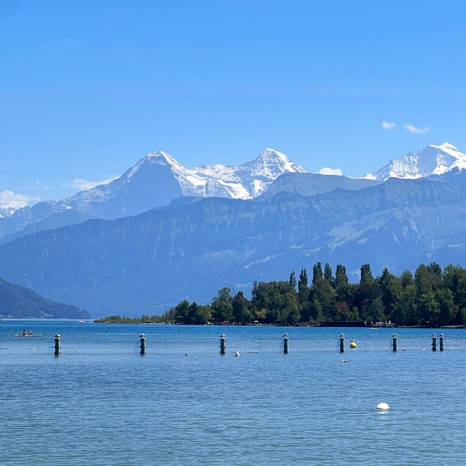 Schweizer Alpen 2023