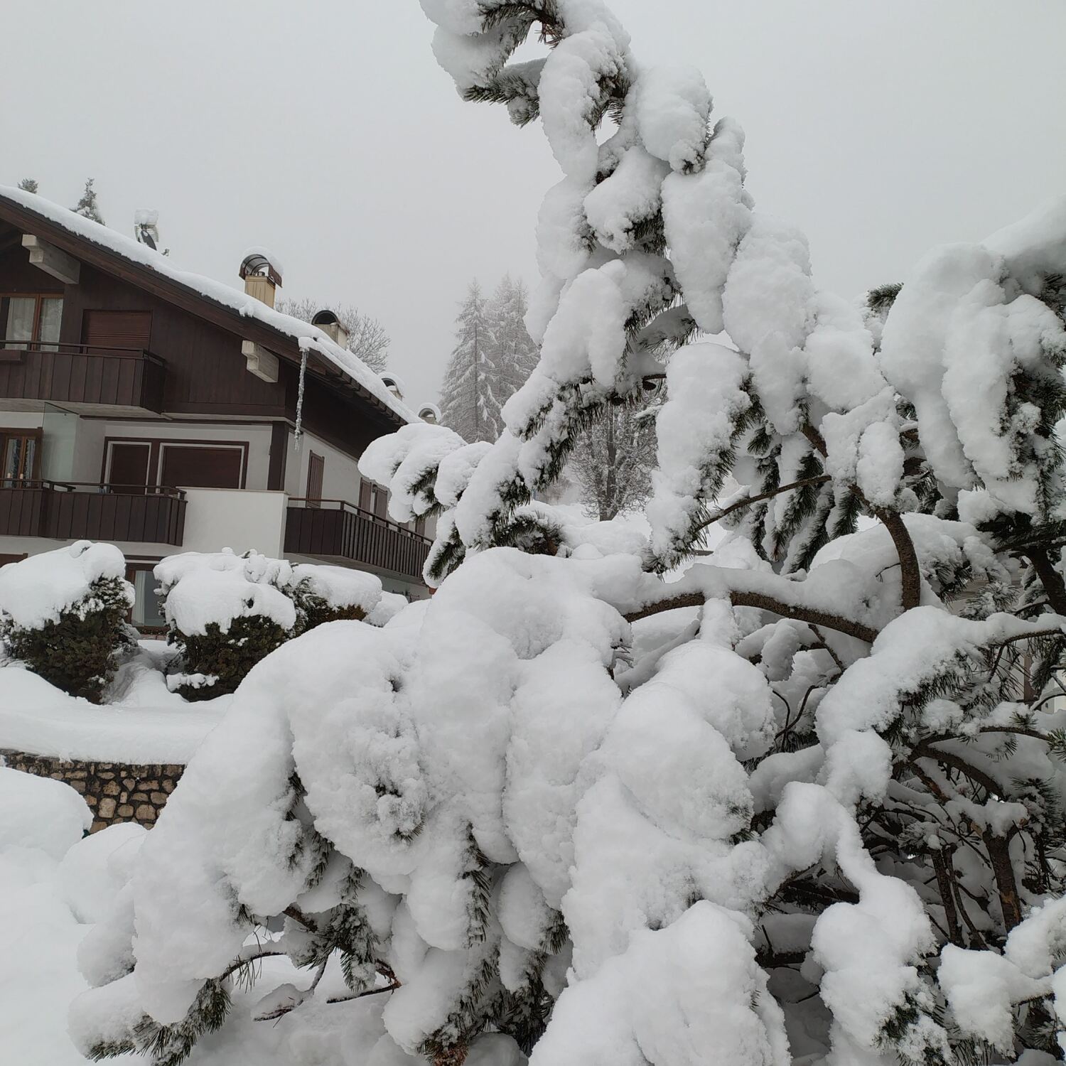 Olimpiadi a cortina