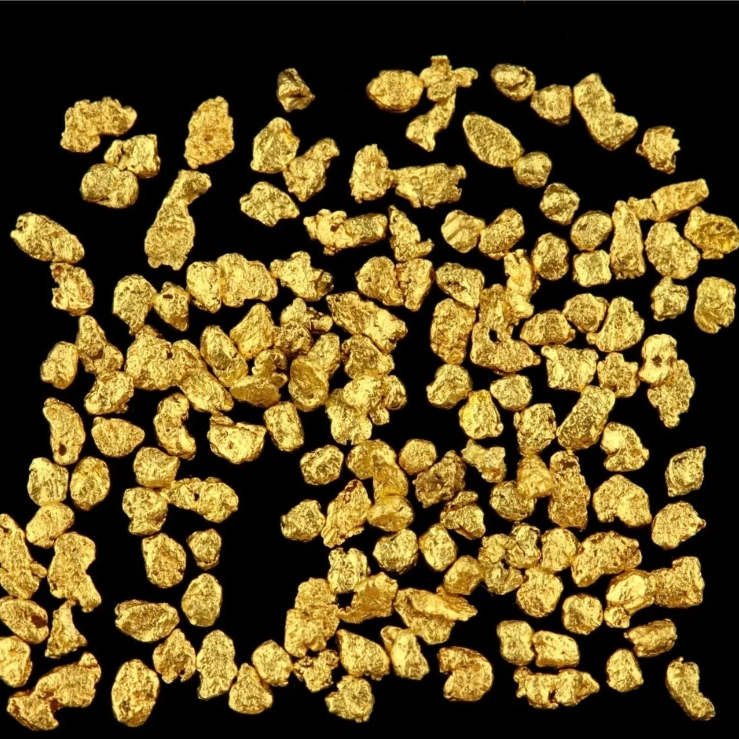 Die Goldsuche in Schweden &Nor