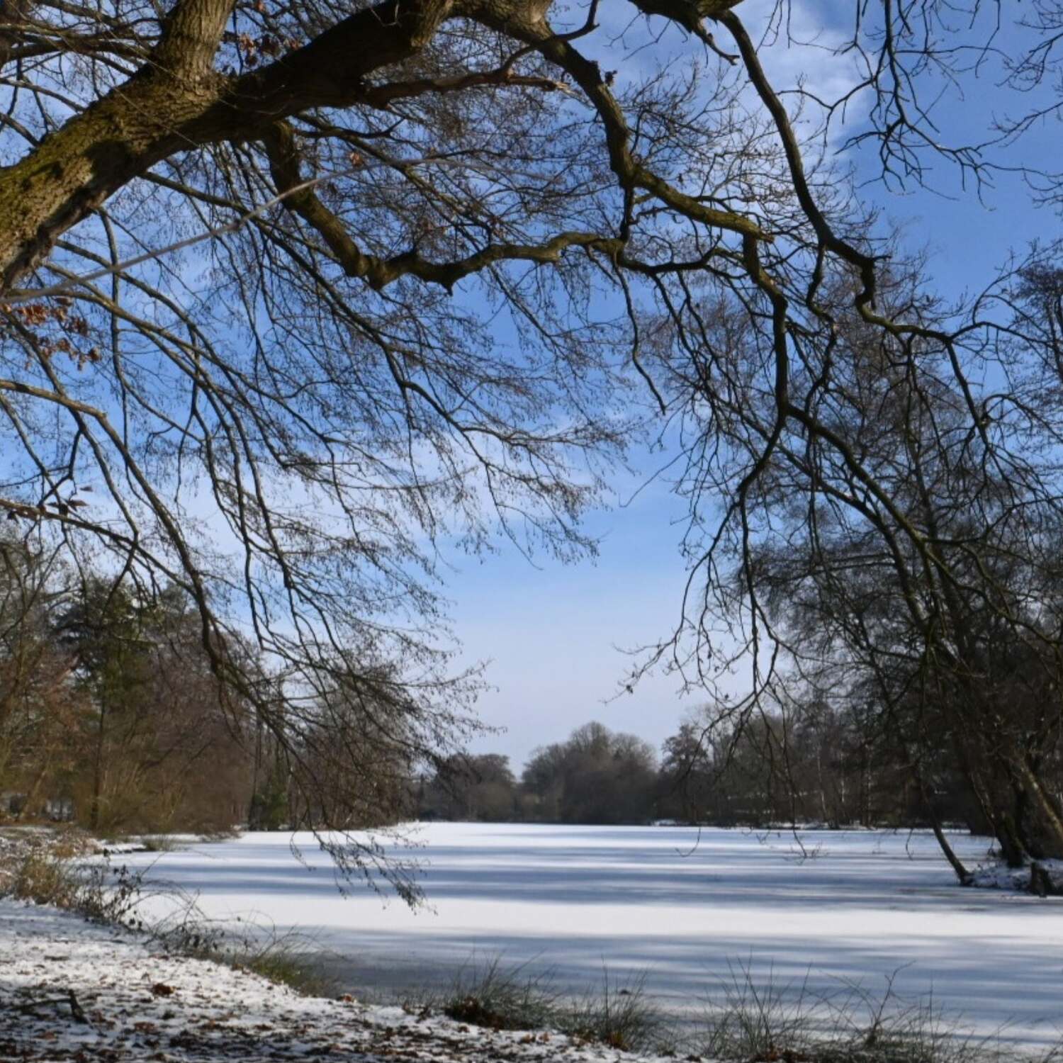 Naturpark Wildeshausener Geest