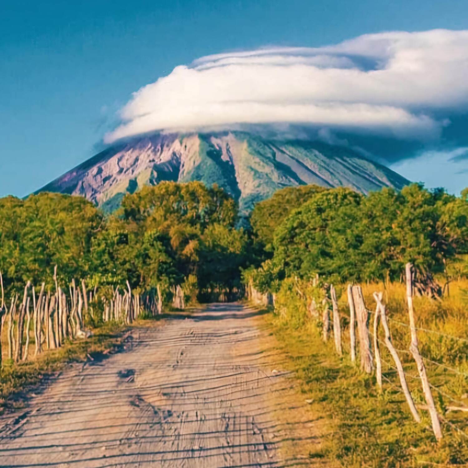 Anni goes Latino Amerika