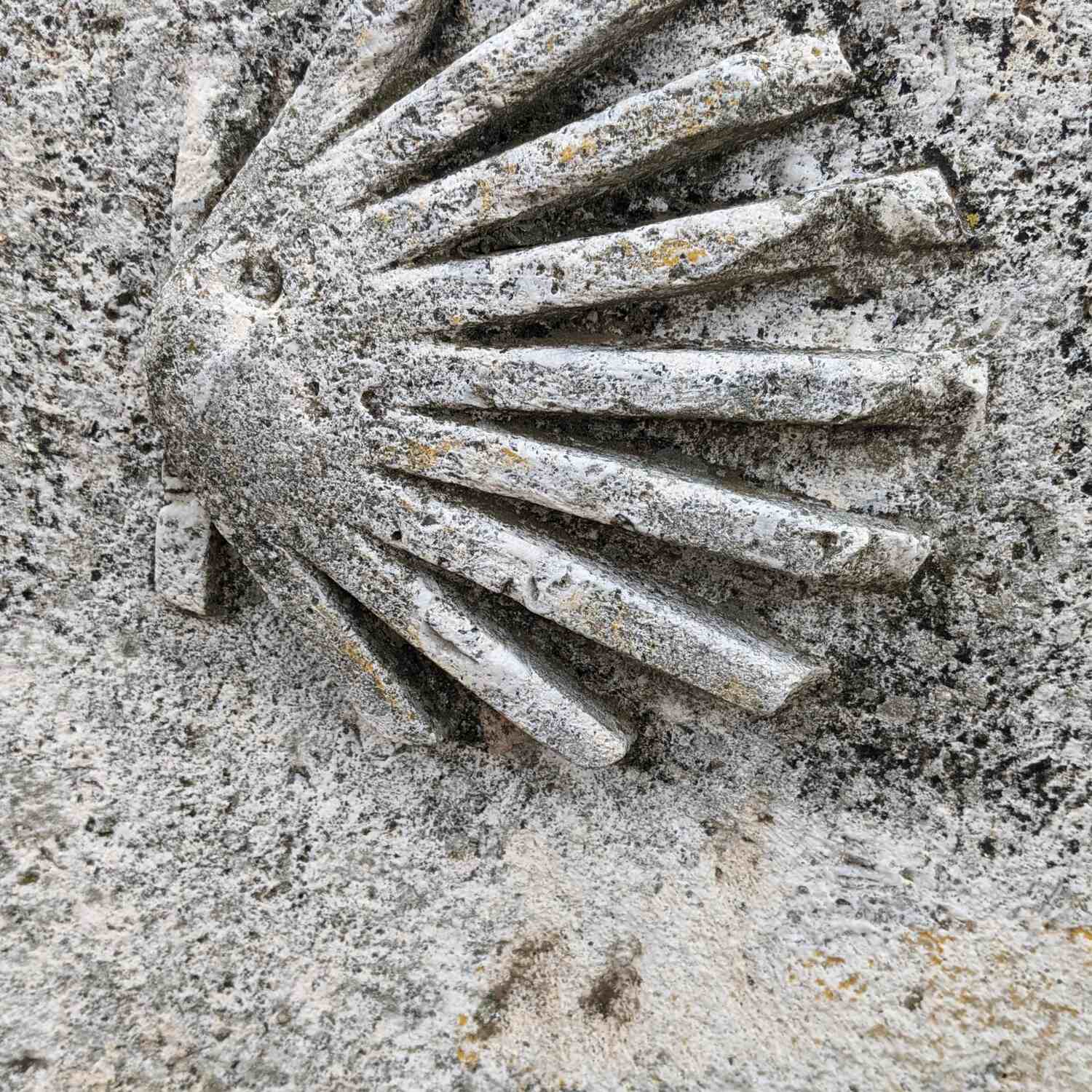 Camino Frances, part 1