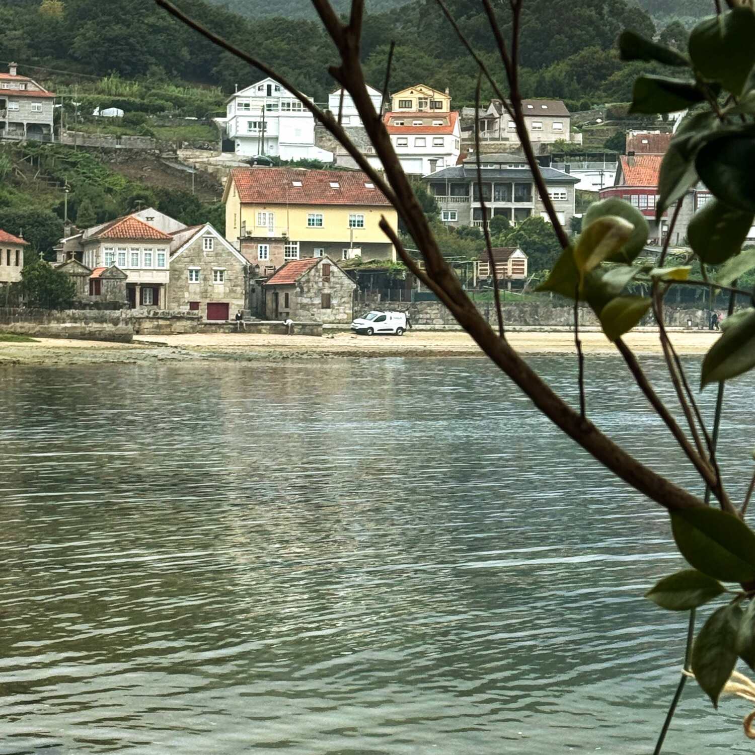 Camino Portuguese