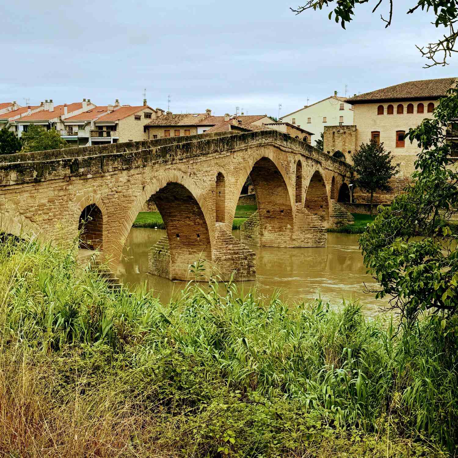 Camino Frances