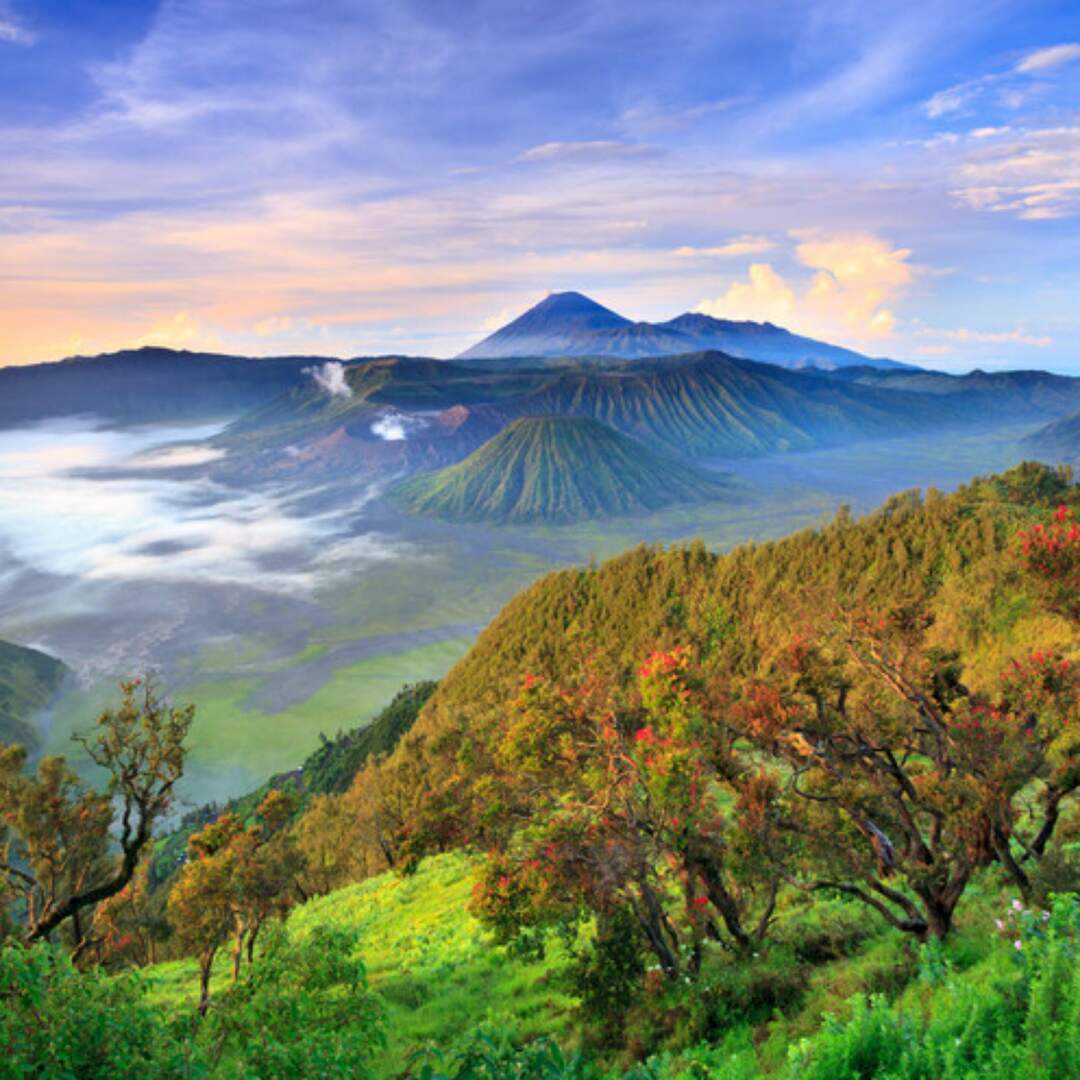 Java & Bali