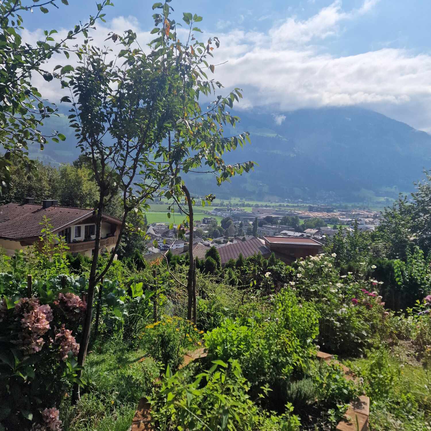 Österreich 2023! 📍🇦🇹