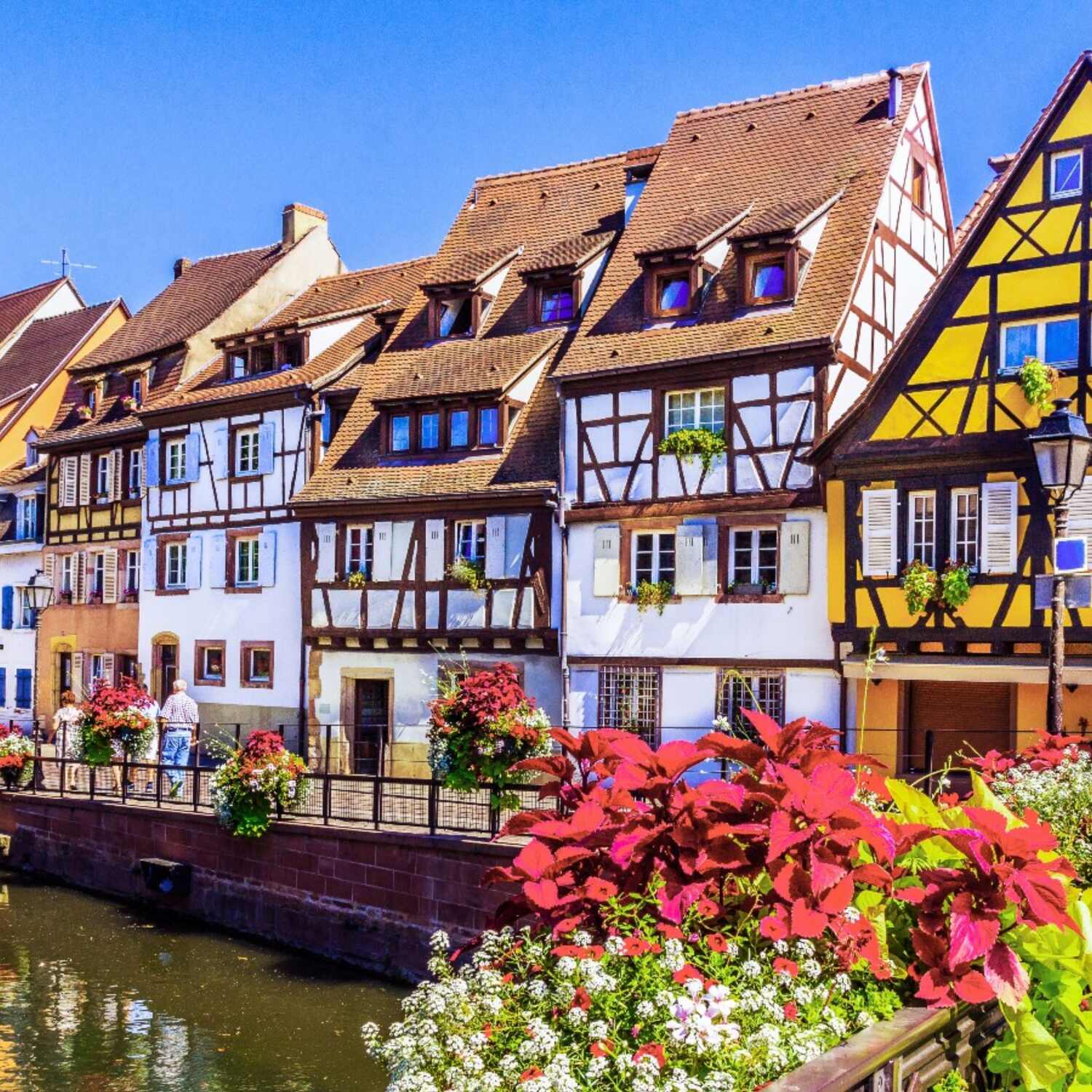 Colmar