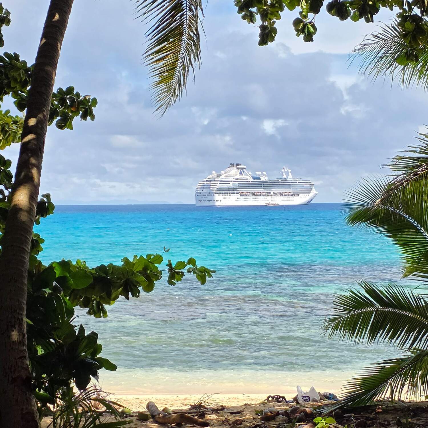 2026 Cruise