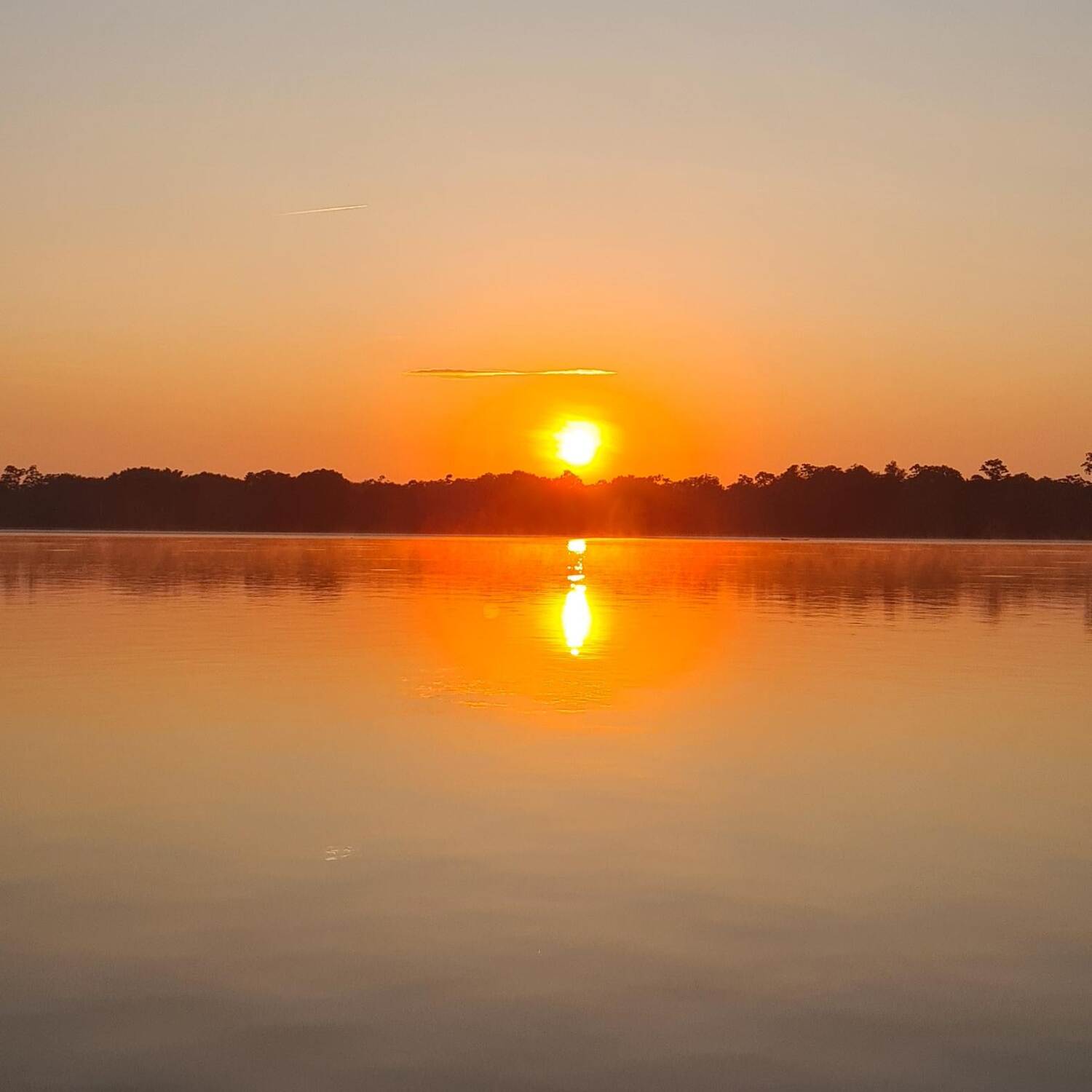 Colombia - Amazonas - Florida