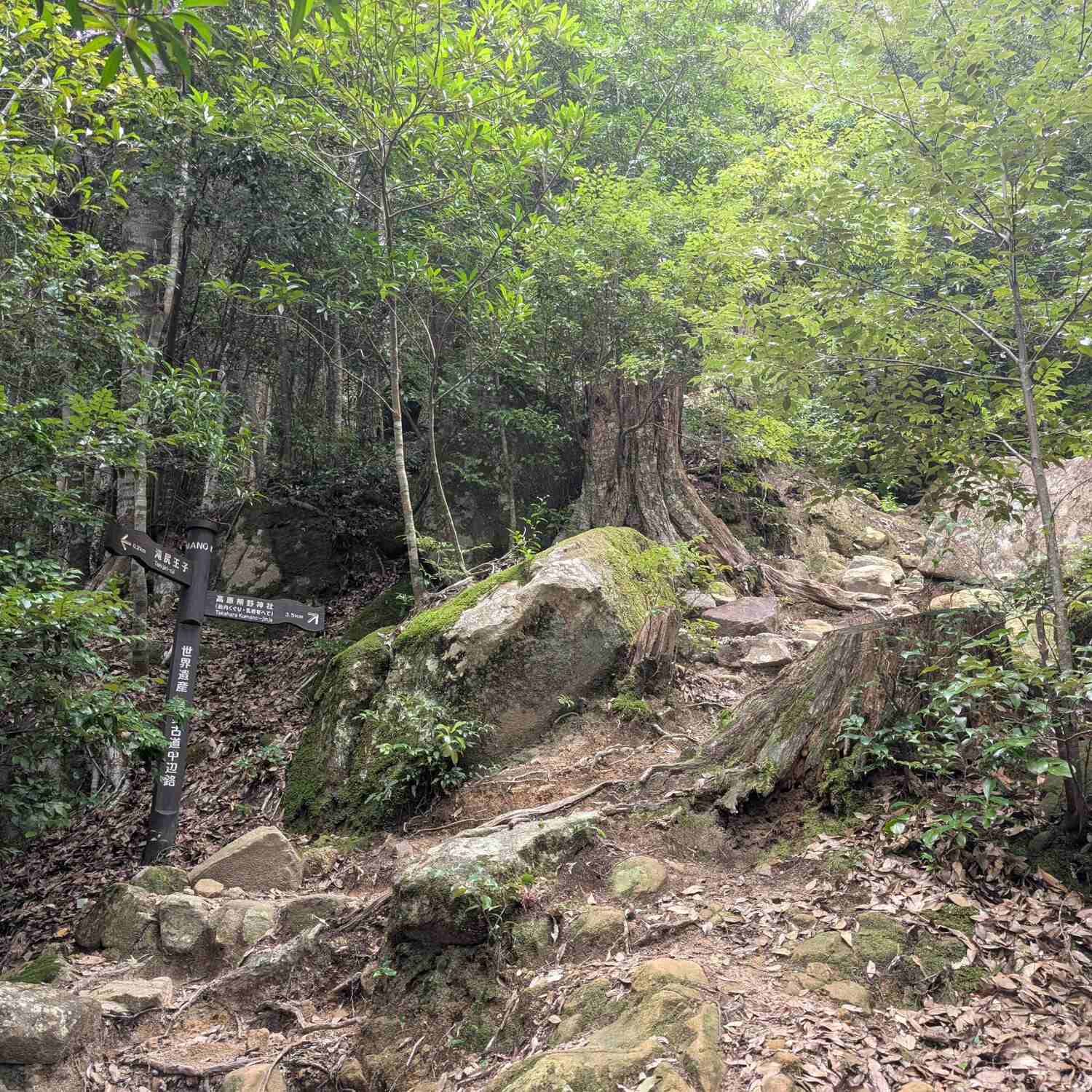 Kumano Kodo