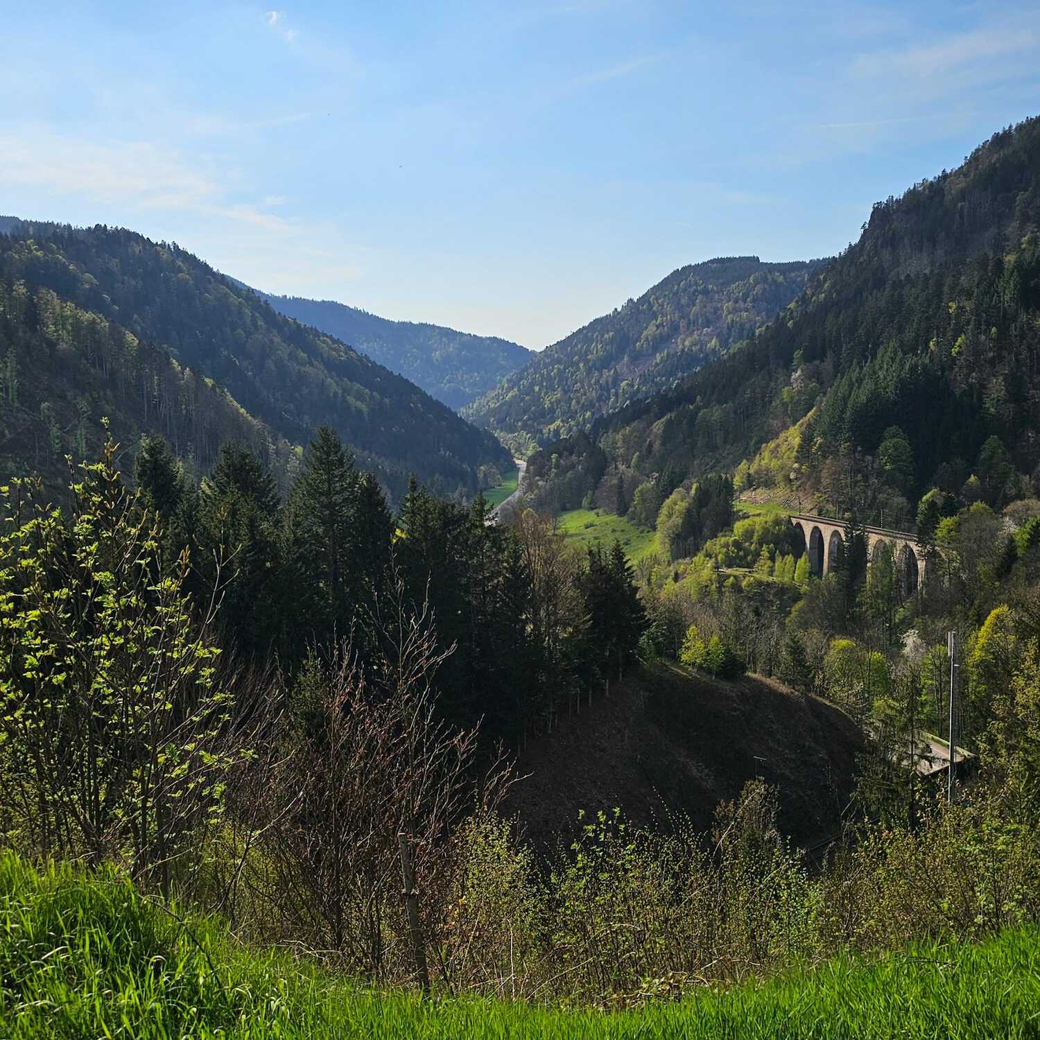 Schwarzwald