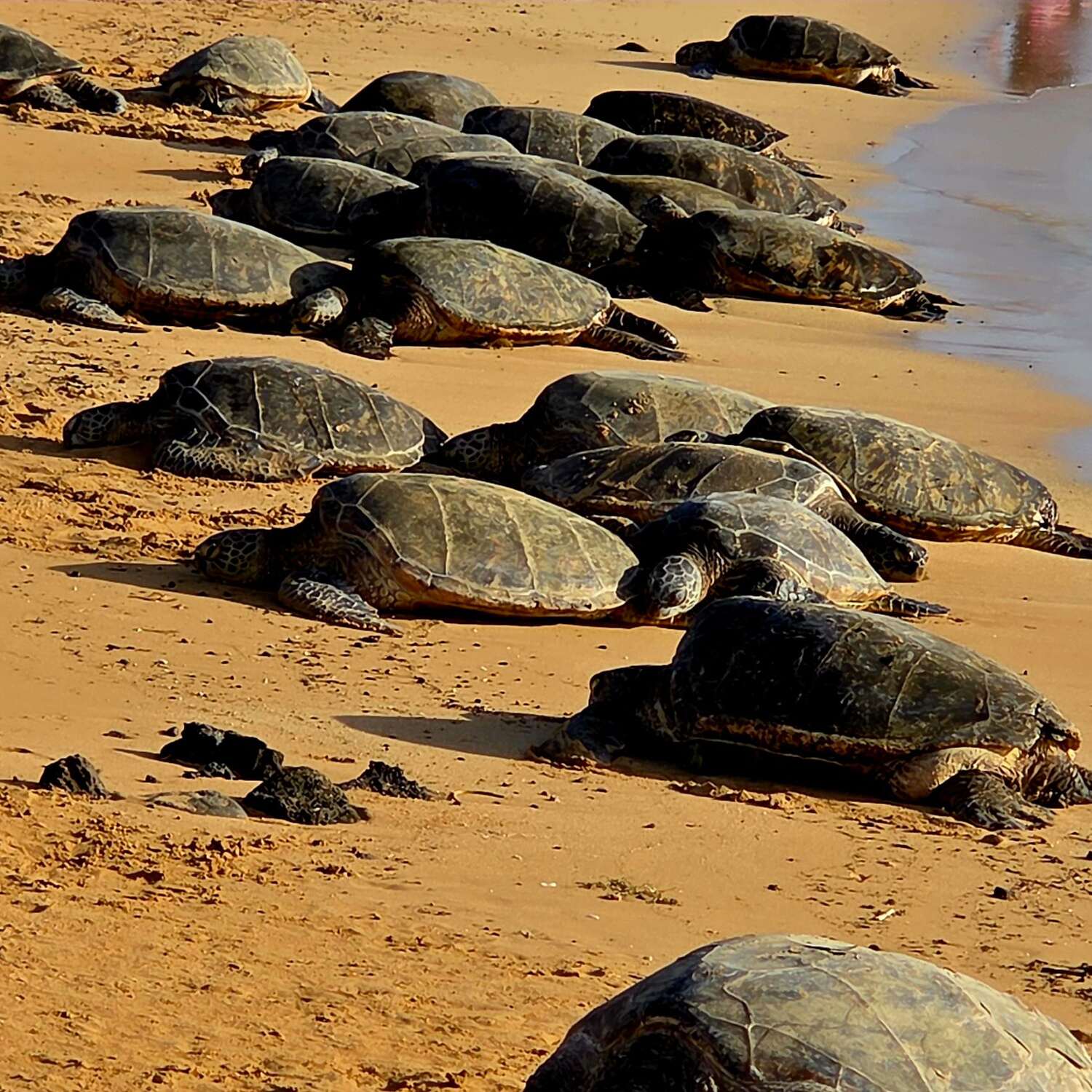 Kauai Island, Hawaii