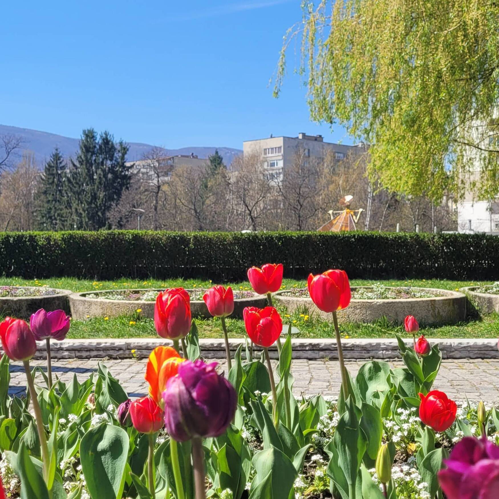 България 2023