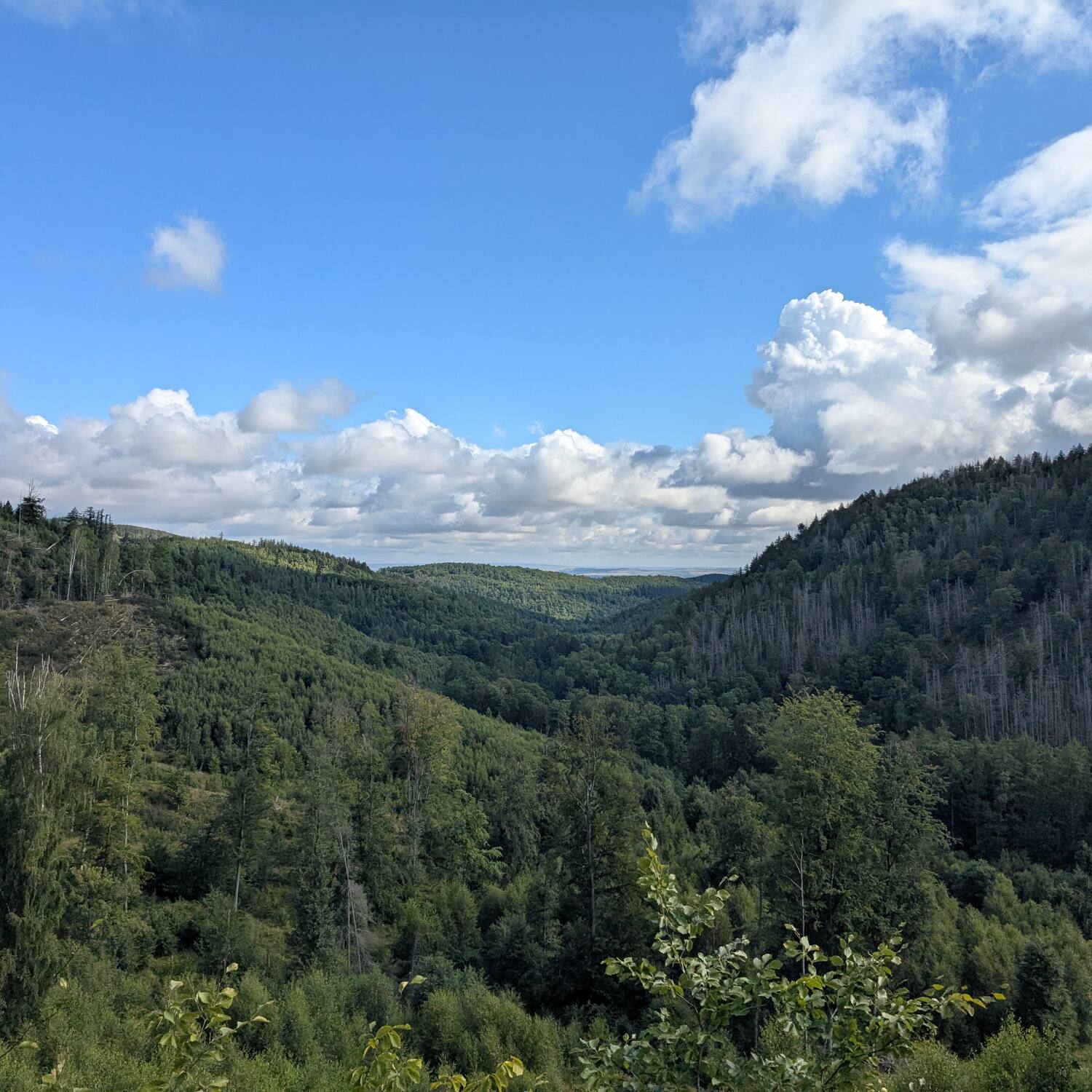 DE25 #6: Sachsen-Anhalt