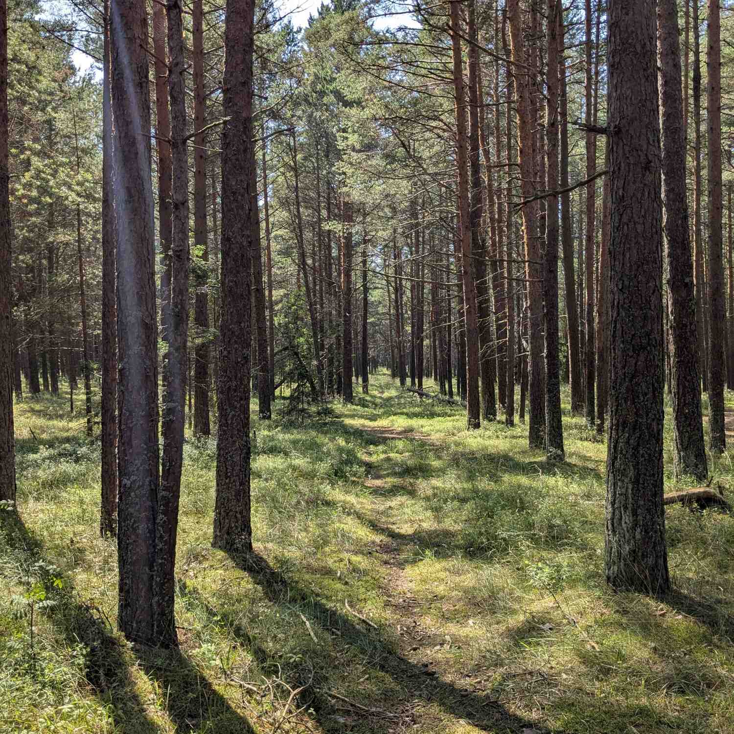 Finland & Baltic States