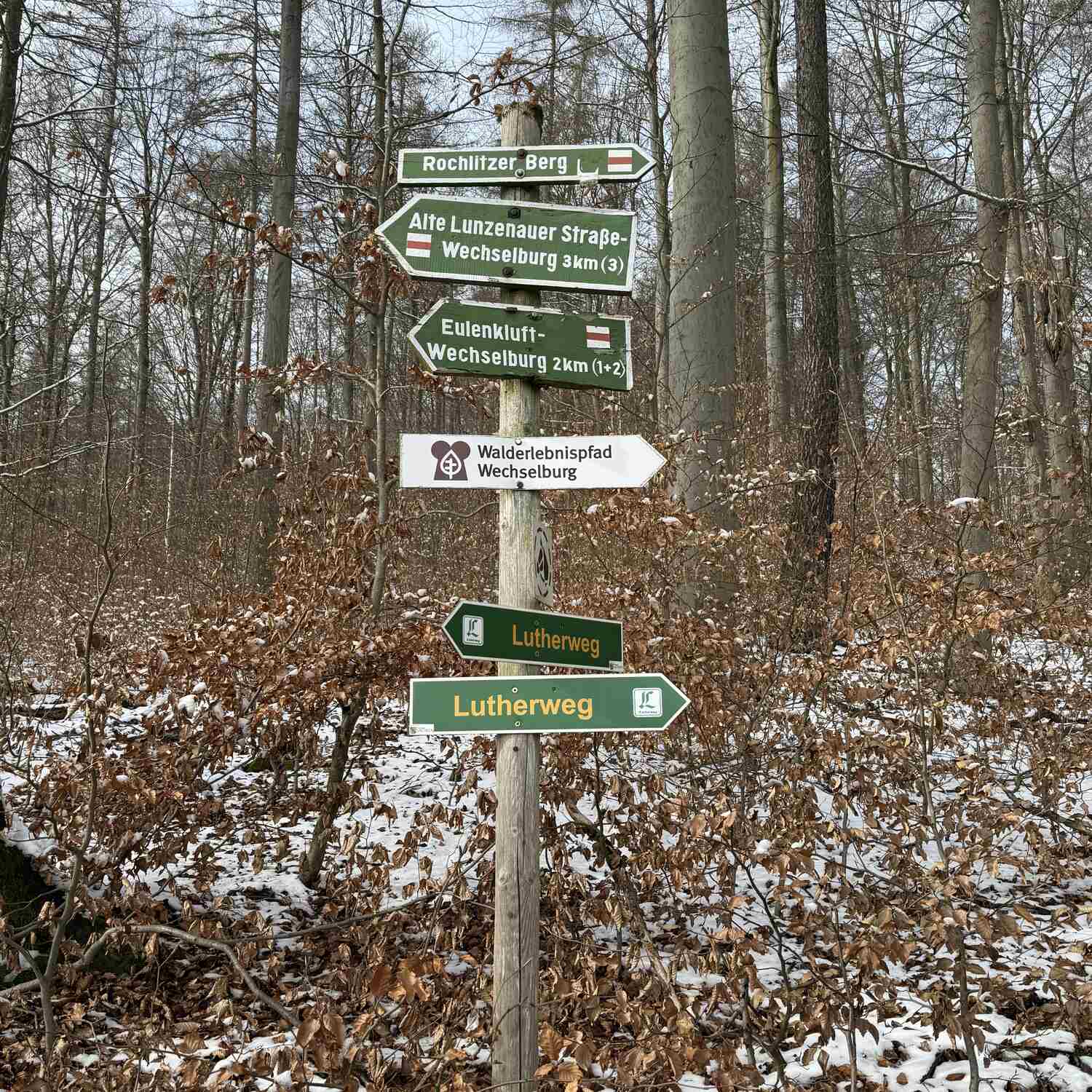 Wanderung Rochlitzer Forst