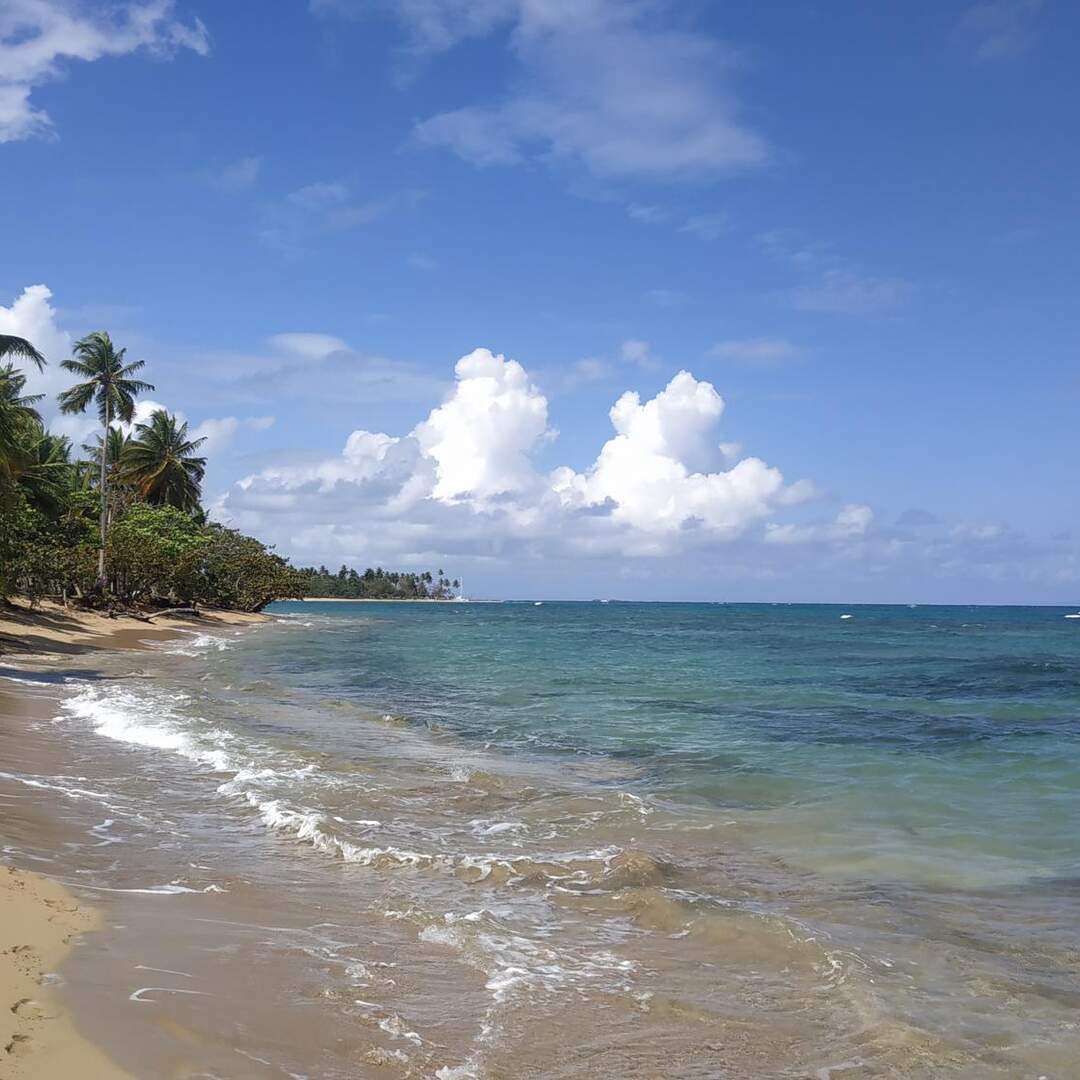 Dominicana