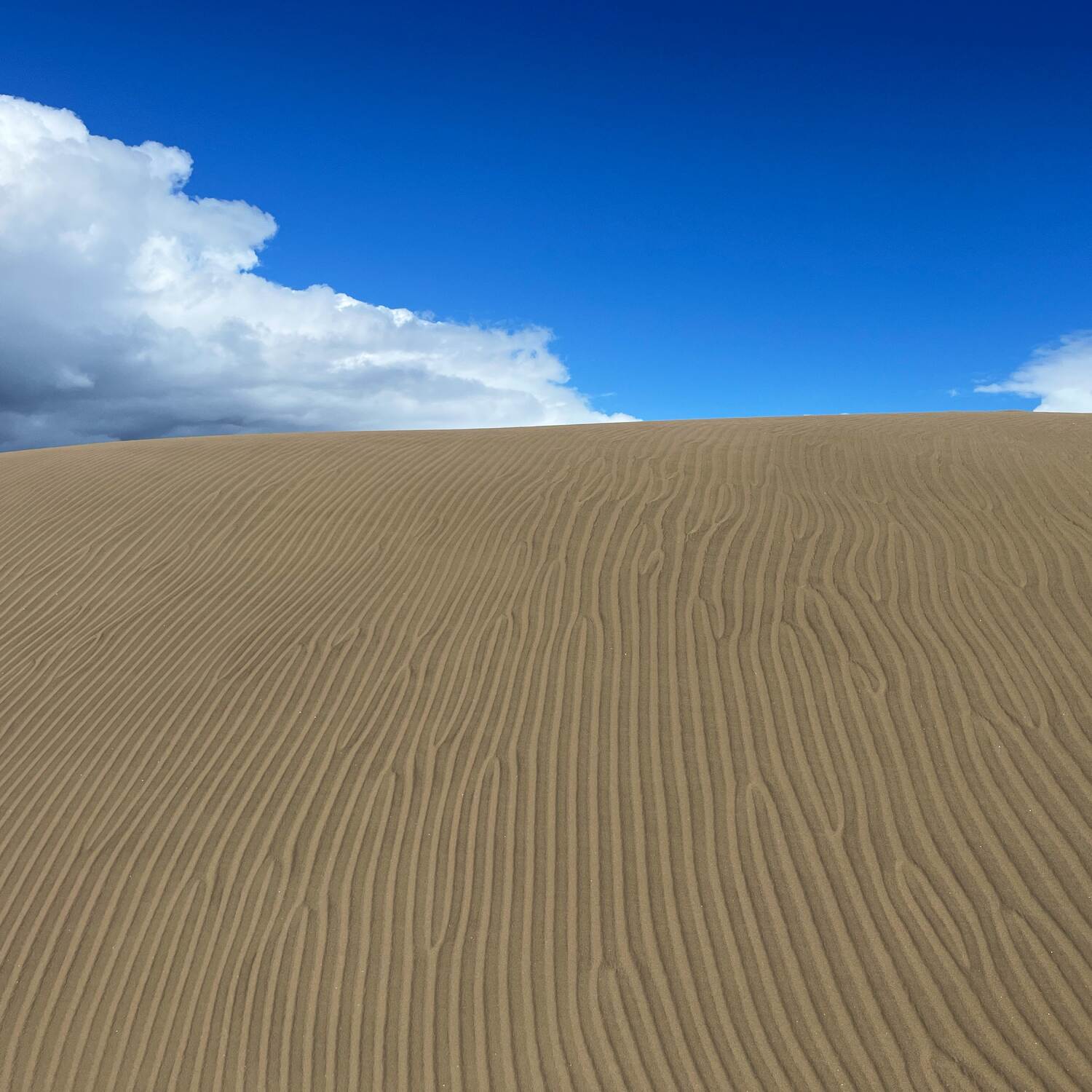 Gran Canaria