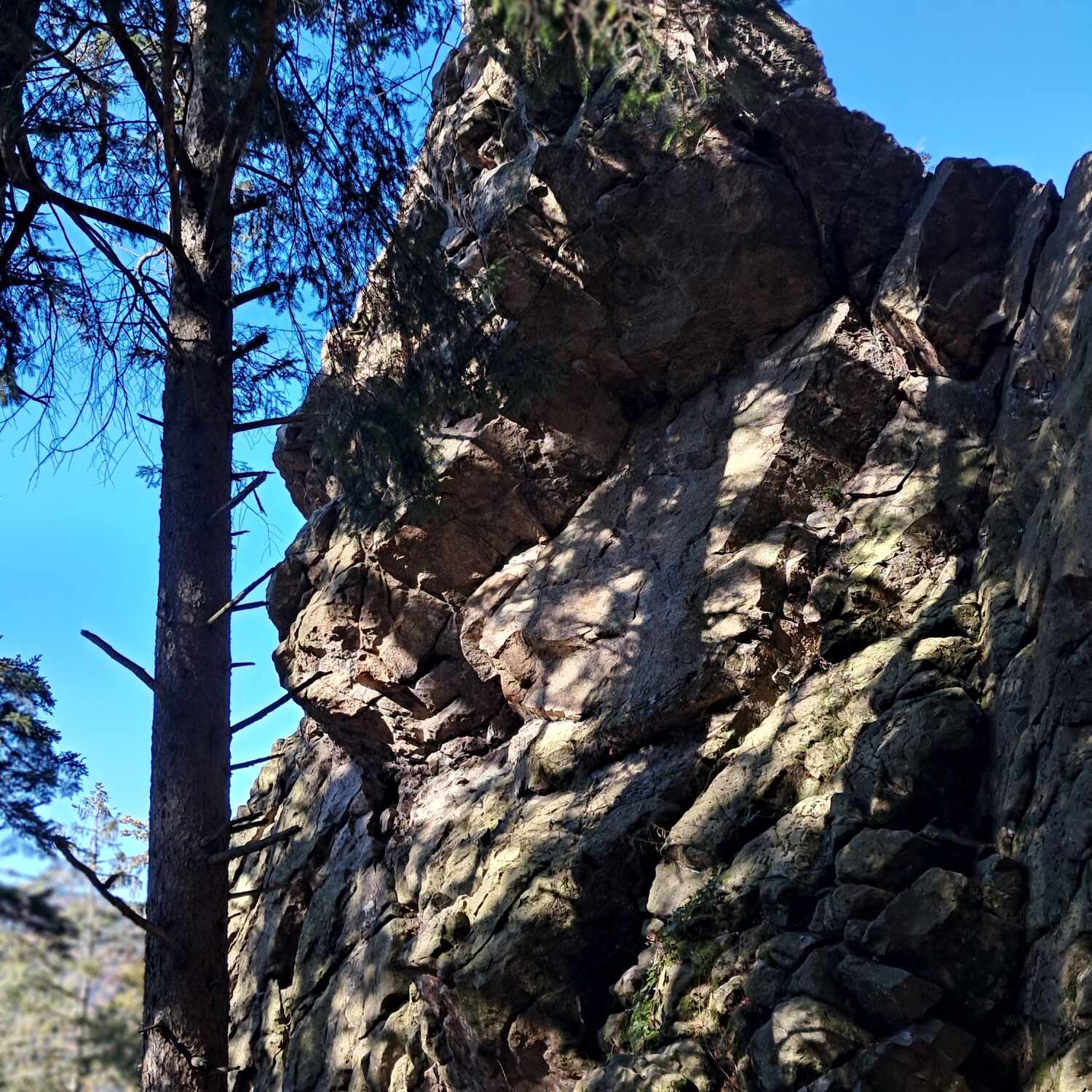 Auf der Jagd nach der Sonne