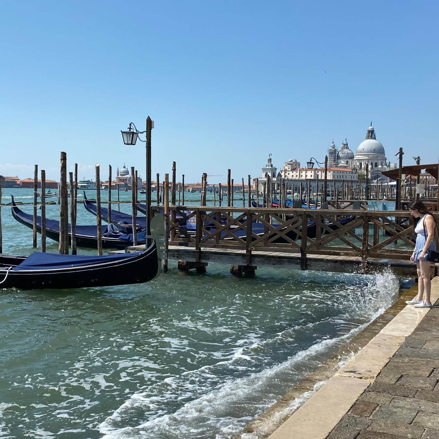 Venecia