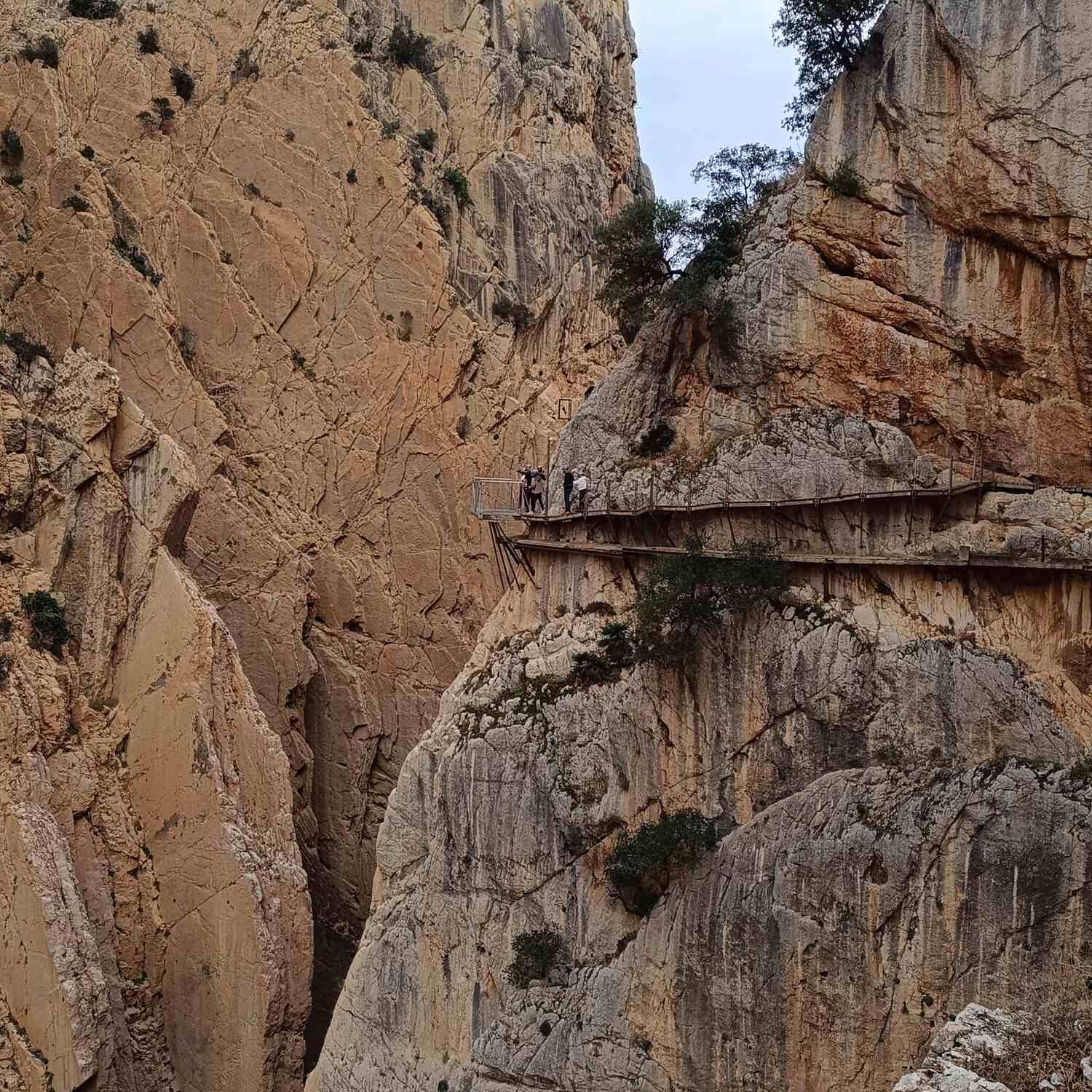 Caminito del Rey