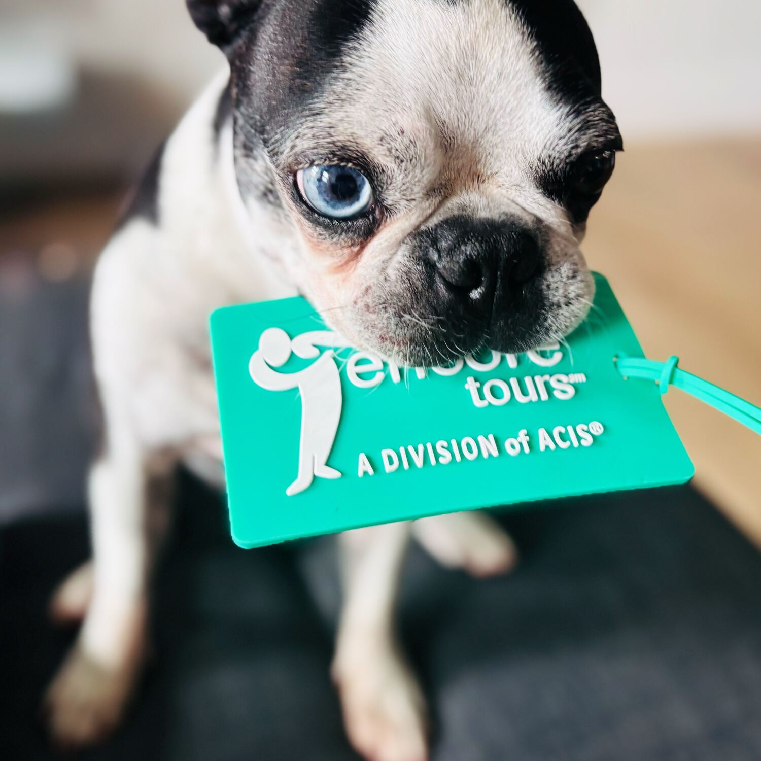 NEC Piano Tour to Germany