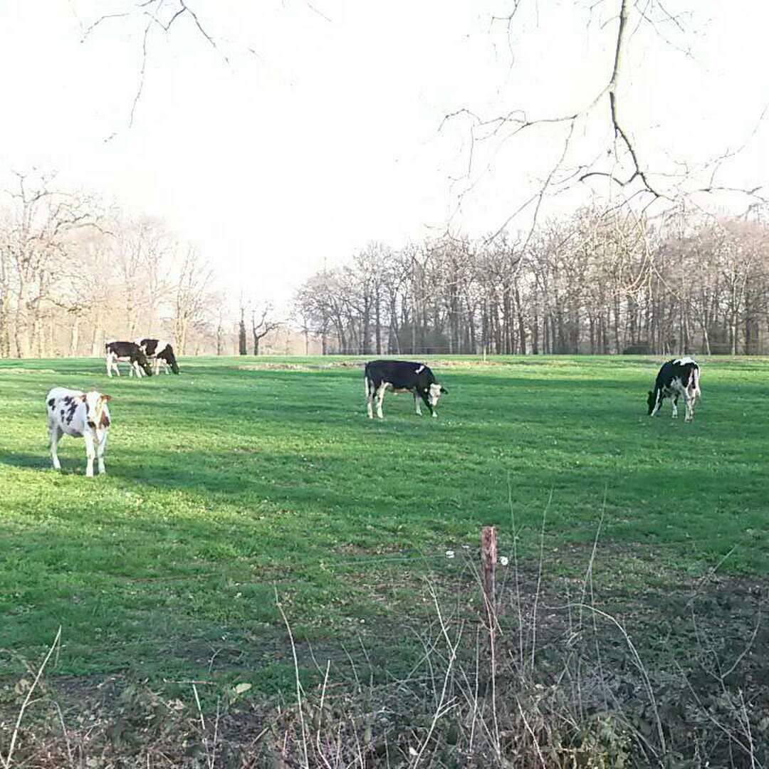 Rundum Hausen