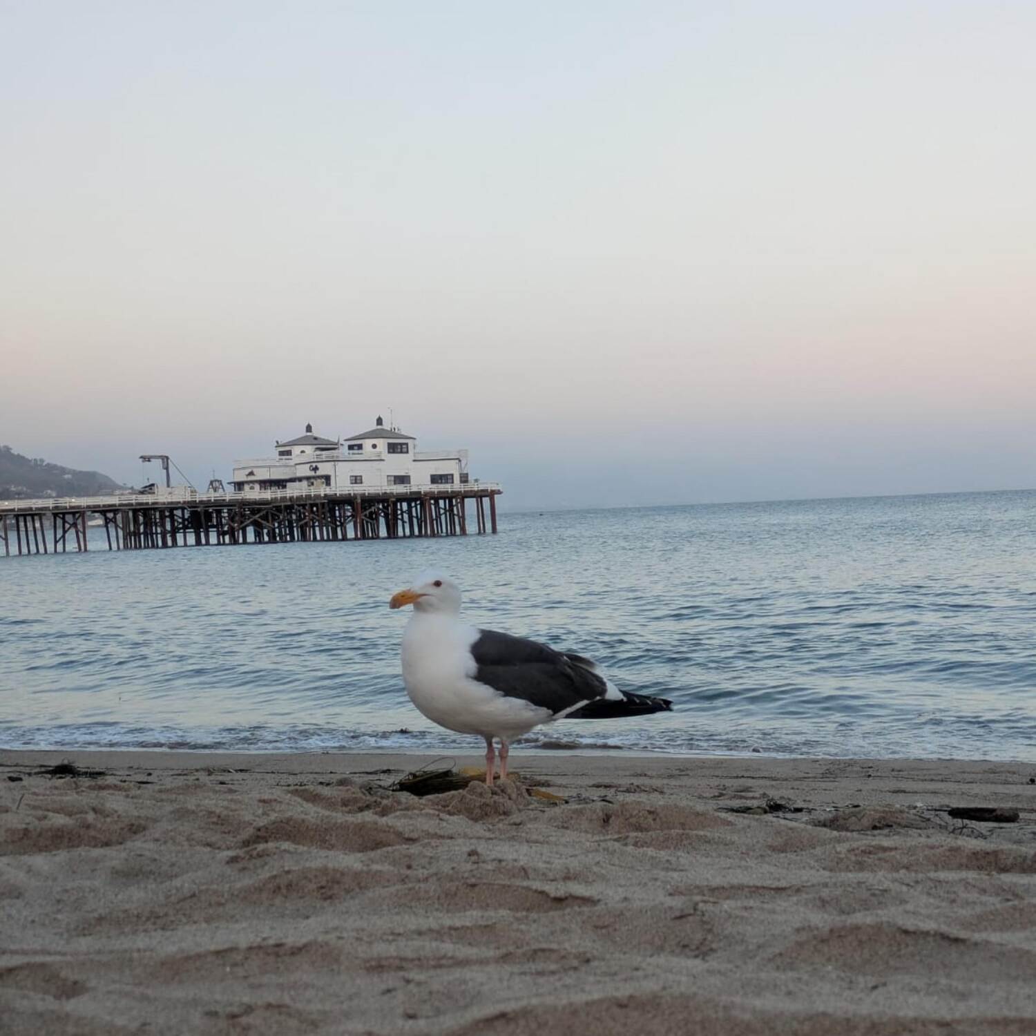 Roadtrip Westküste USA