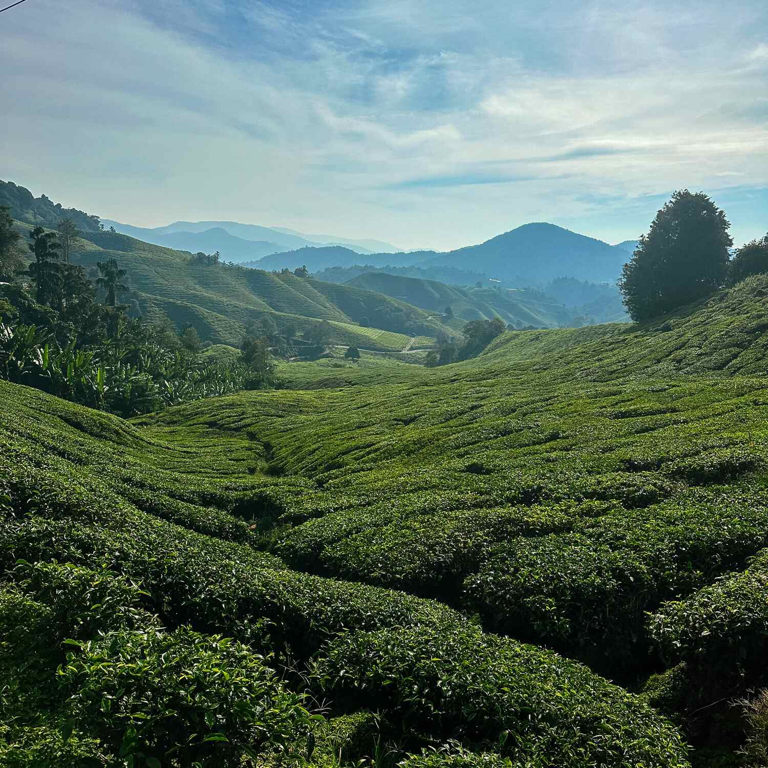 Malaysia