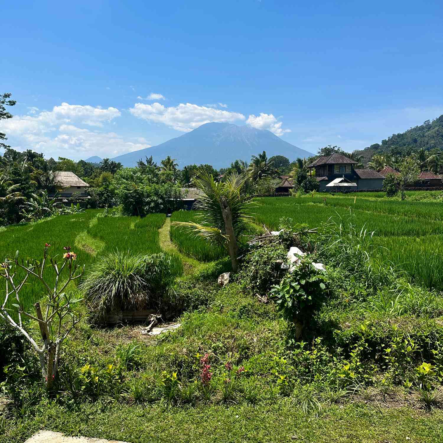 Bali