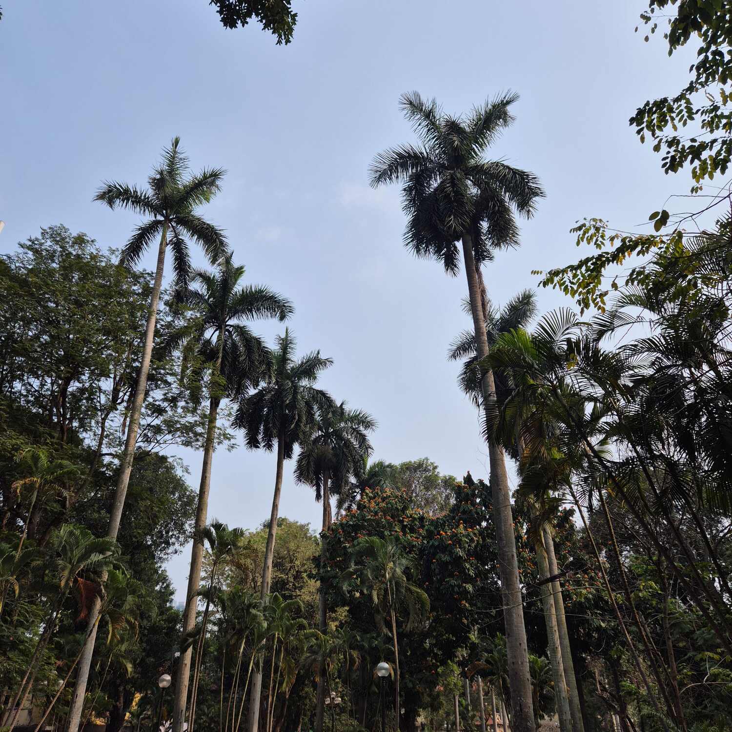 Vietnam ✨️😘