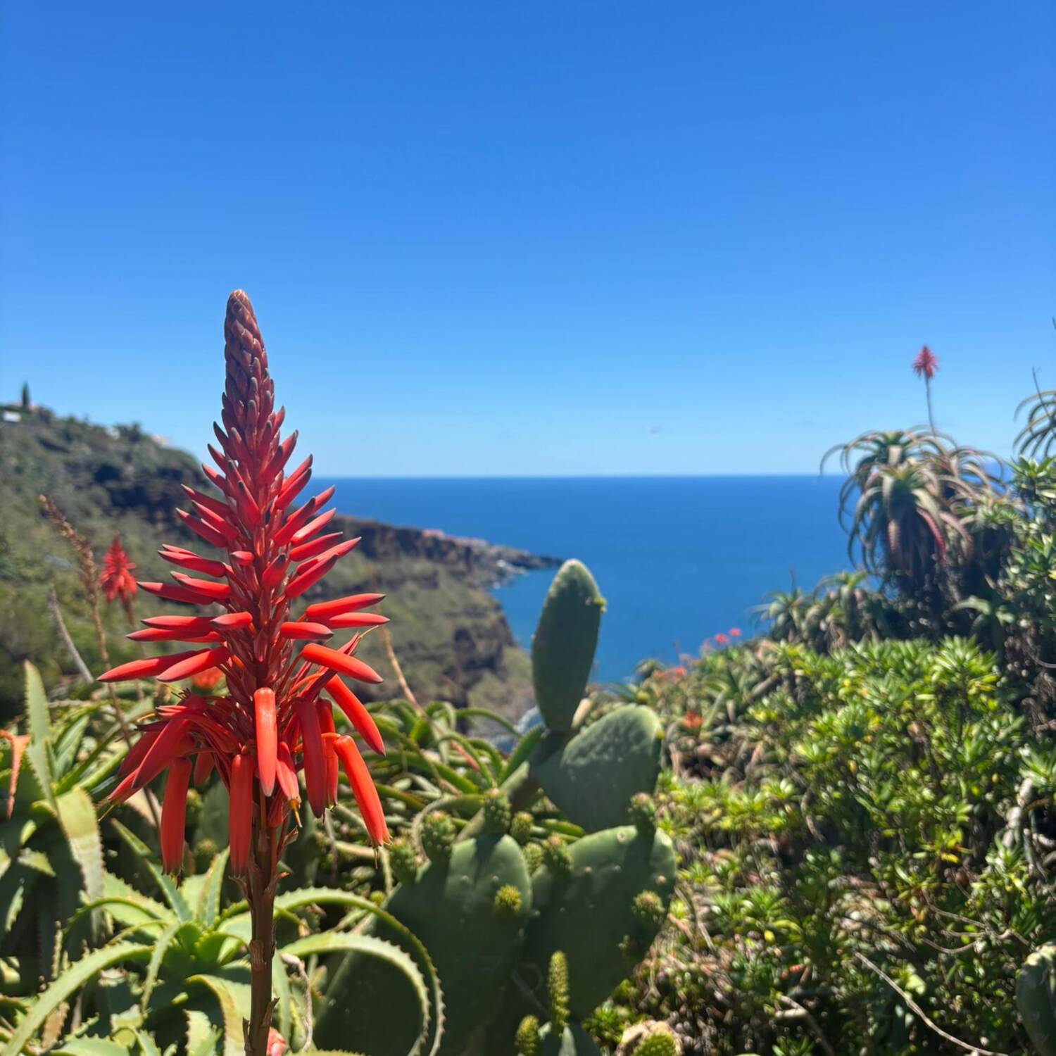 Madeira