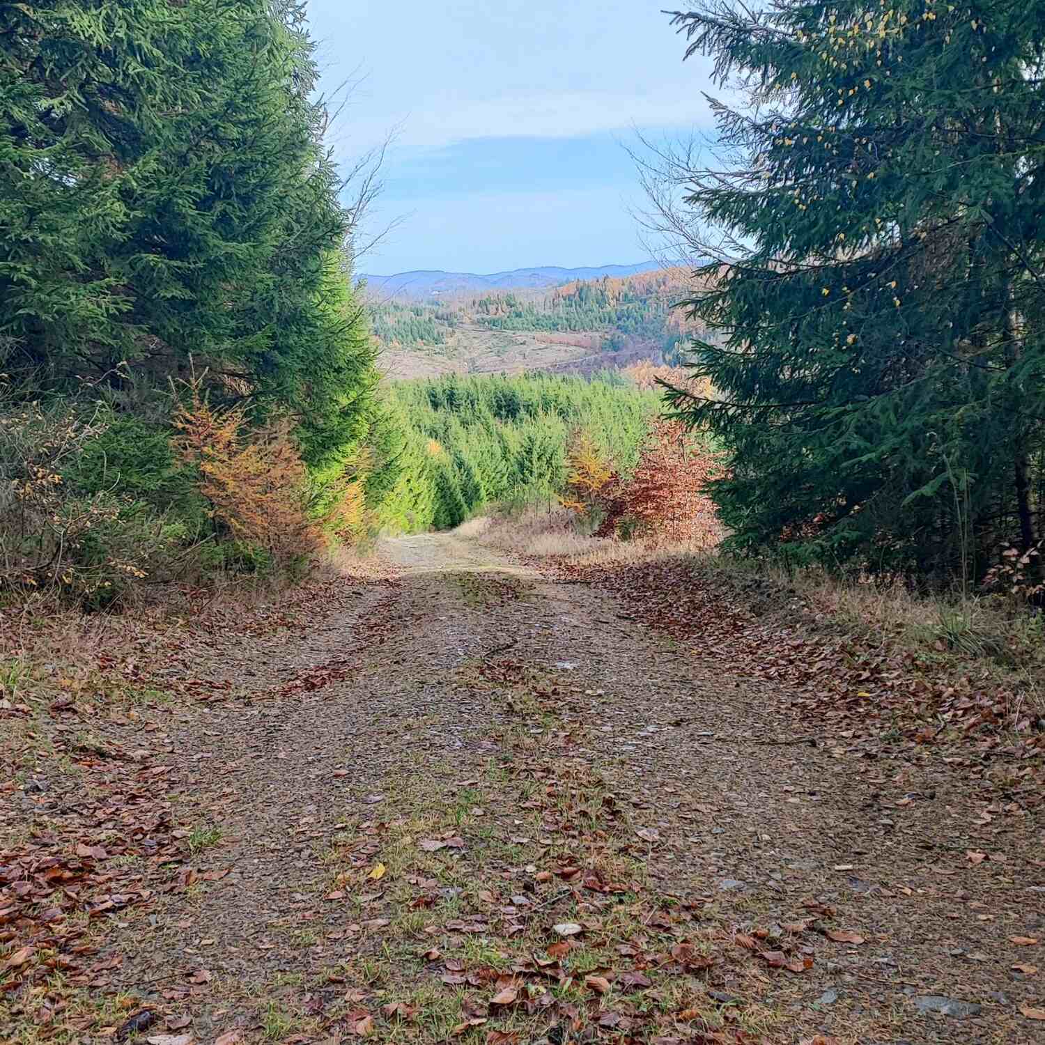 Siegerland , der Süden von NRW