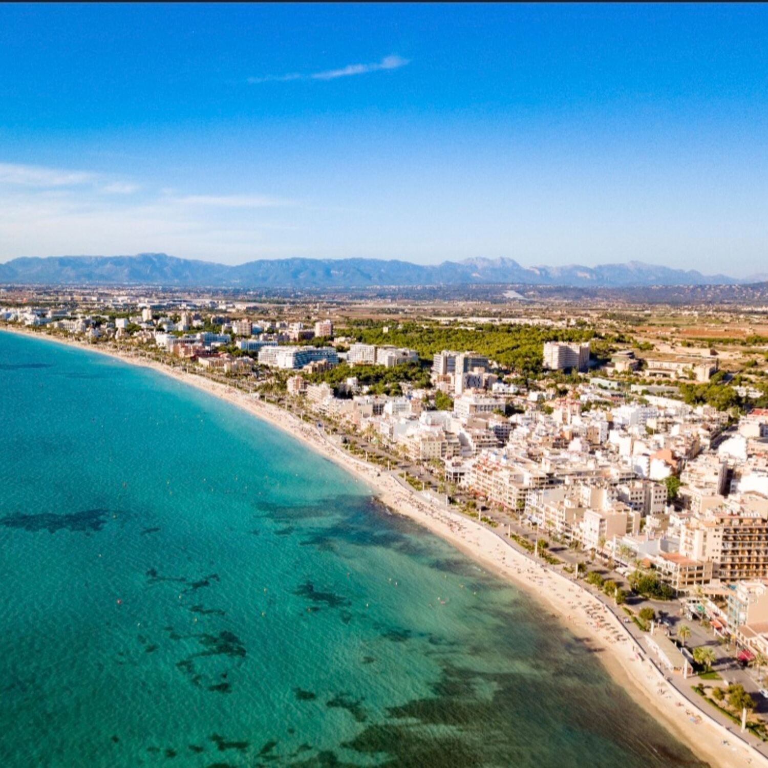 Mandelblüte auf Mallorca