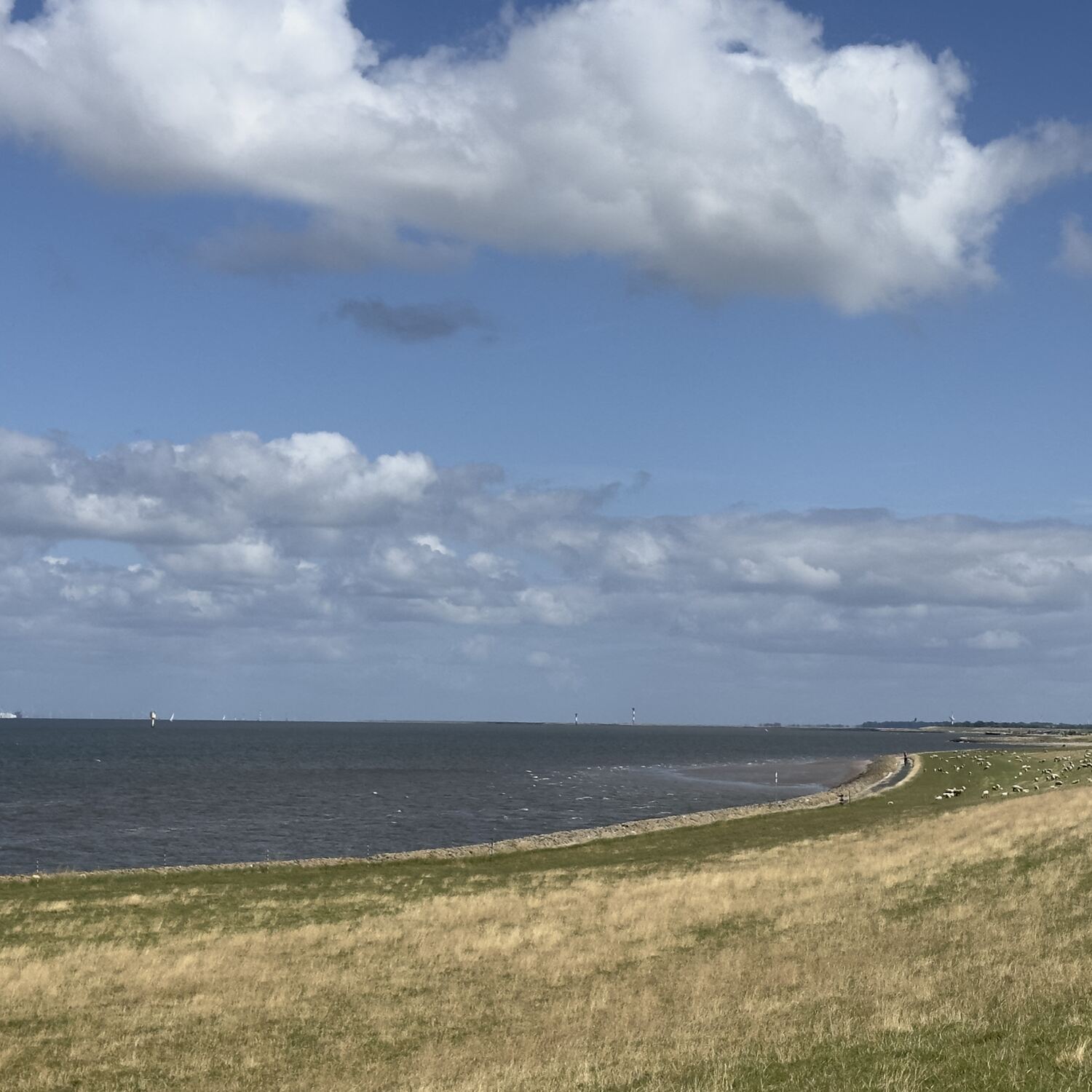 Elbradweg Hamburg-Cuxhaven