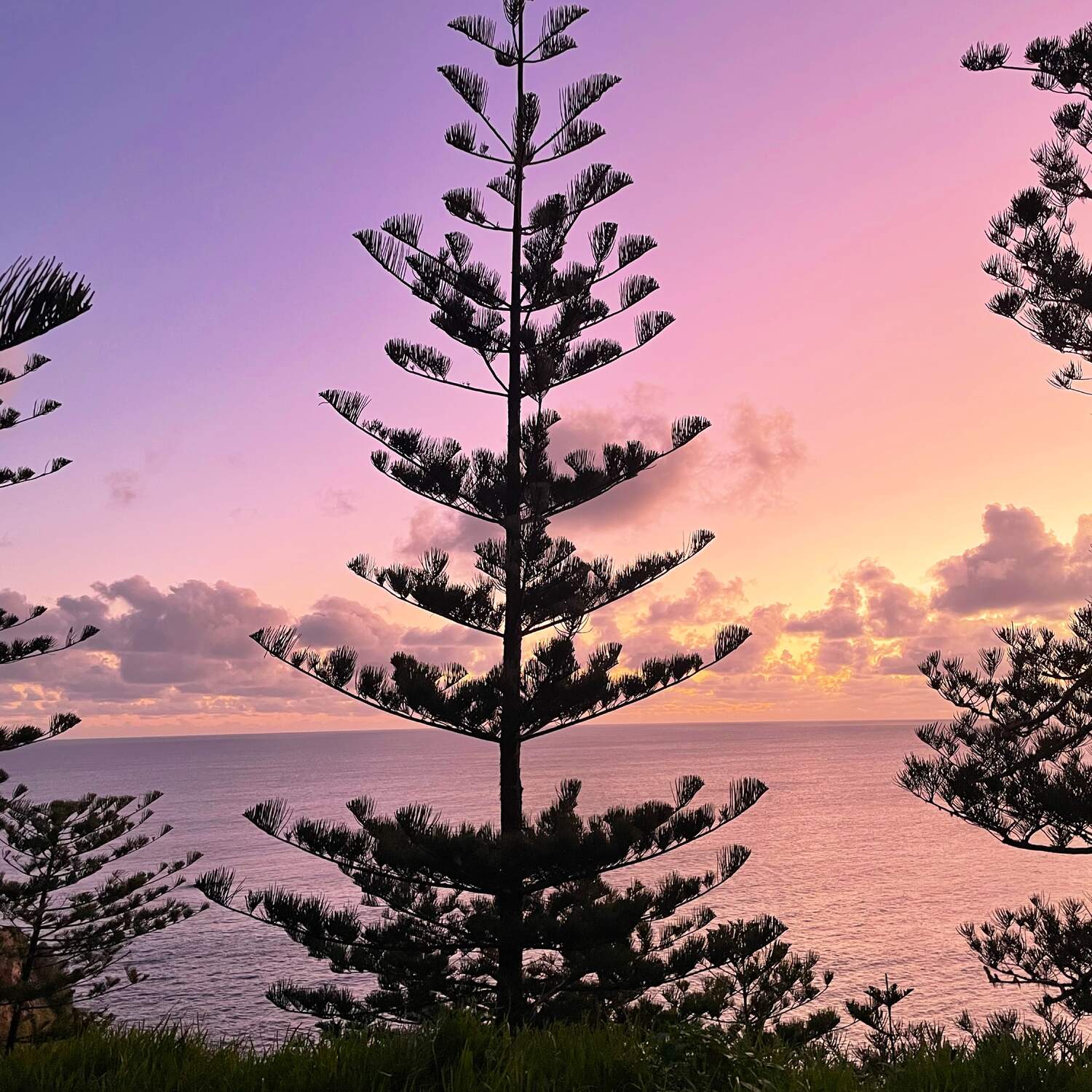 Norfolk Island