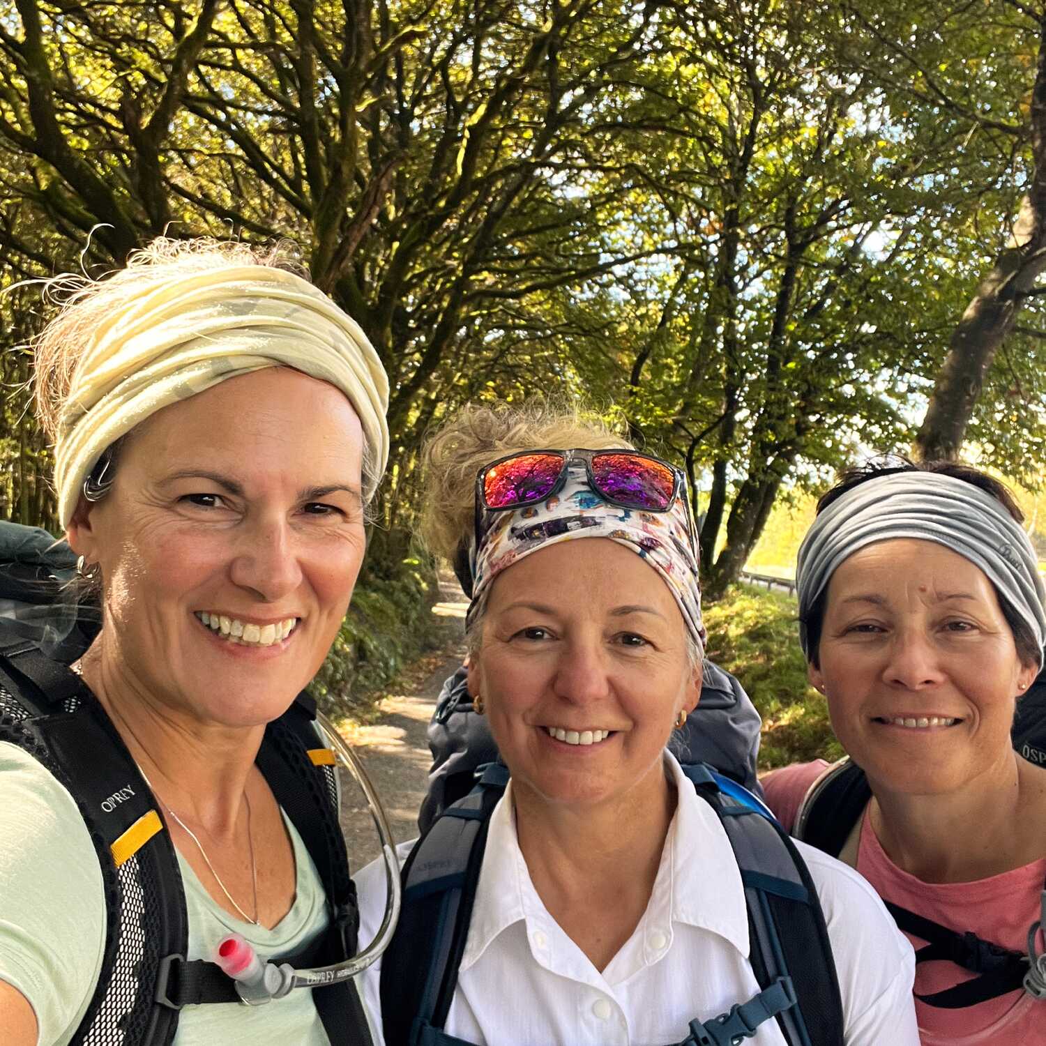 Camino de Compostelle