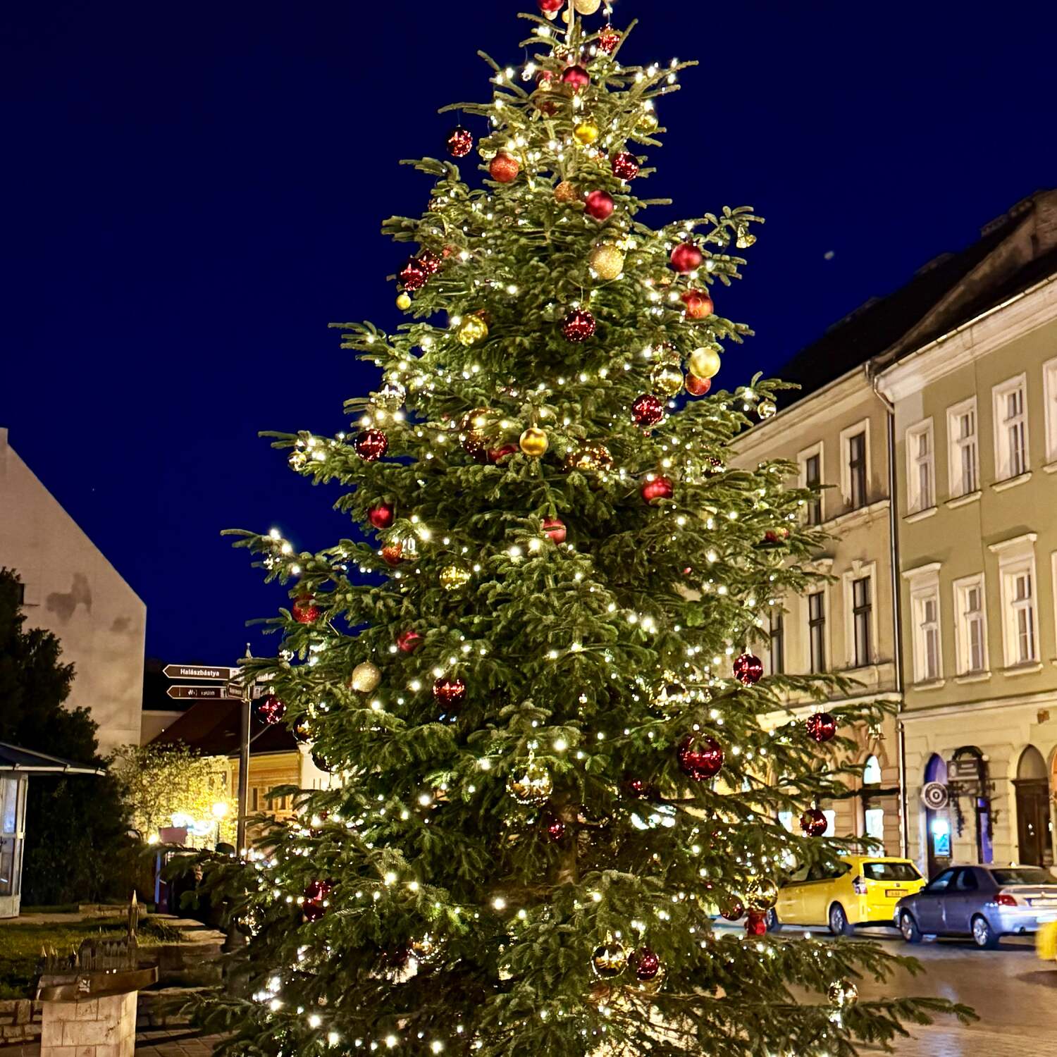Viking Christmas Markets
