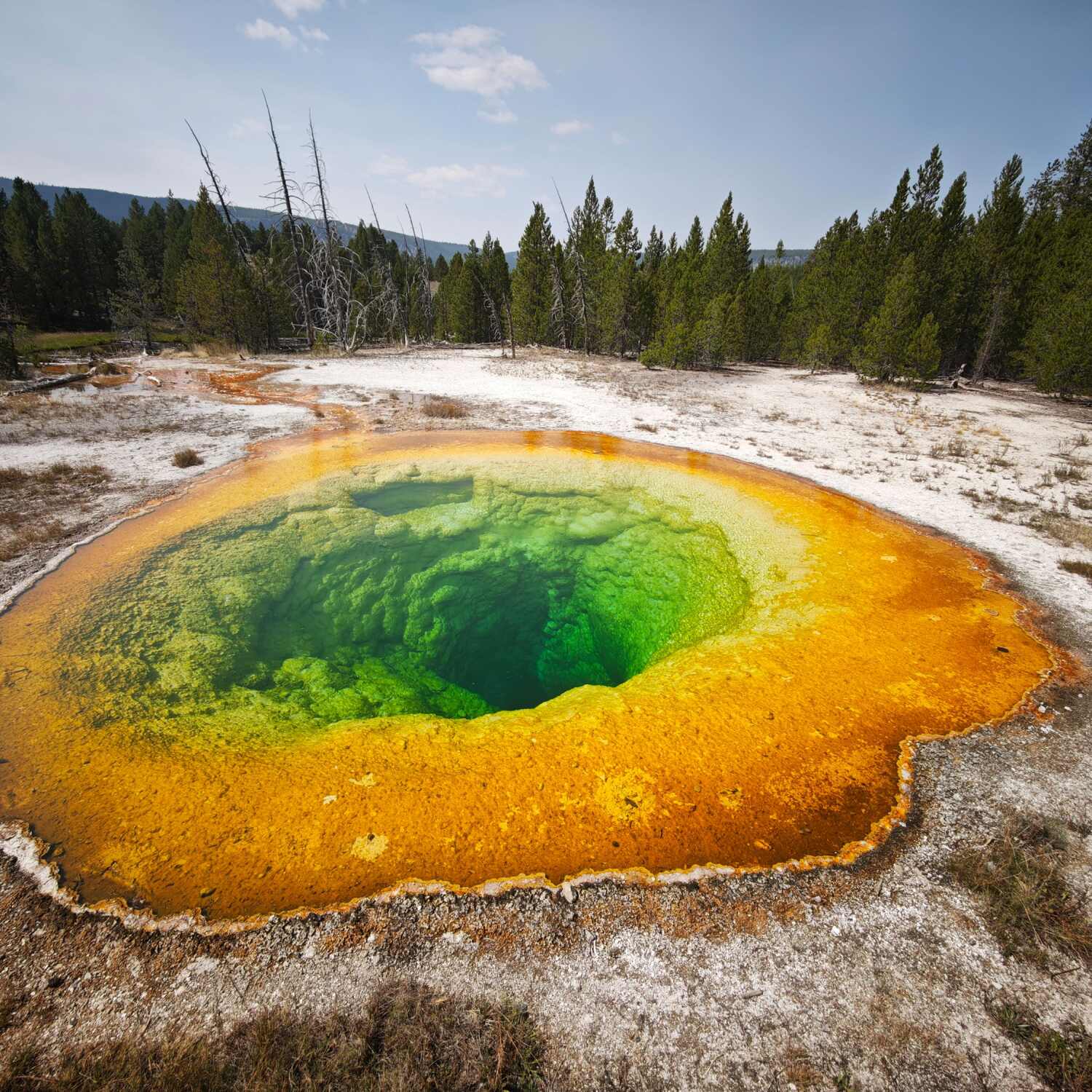 Yellowstone 2025