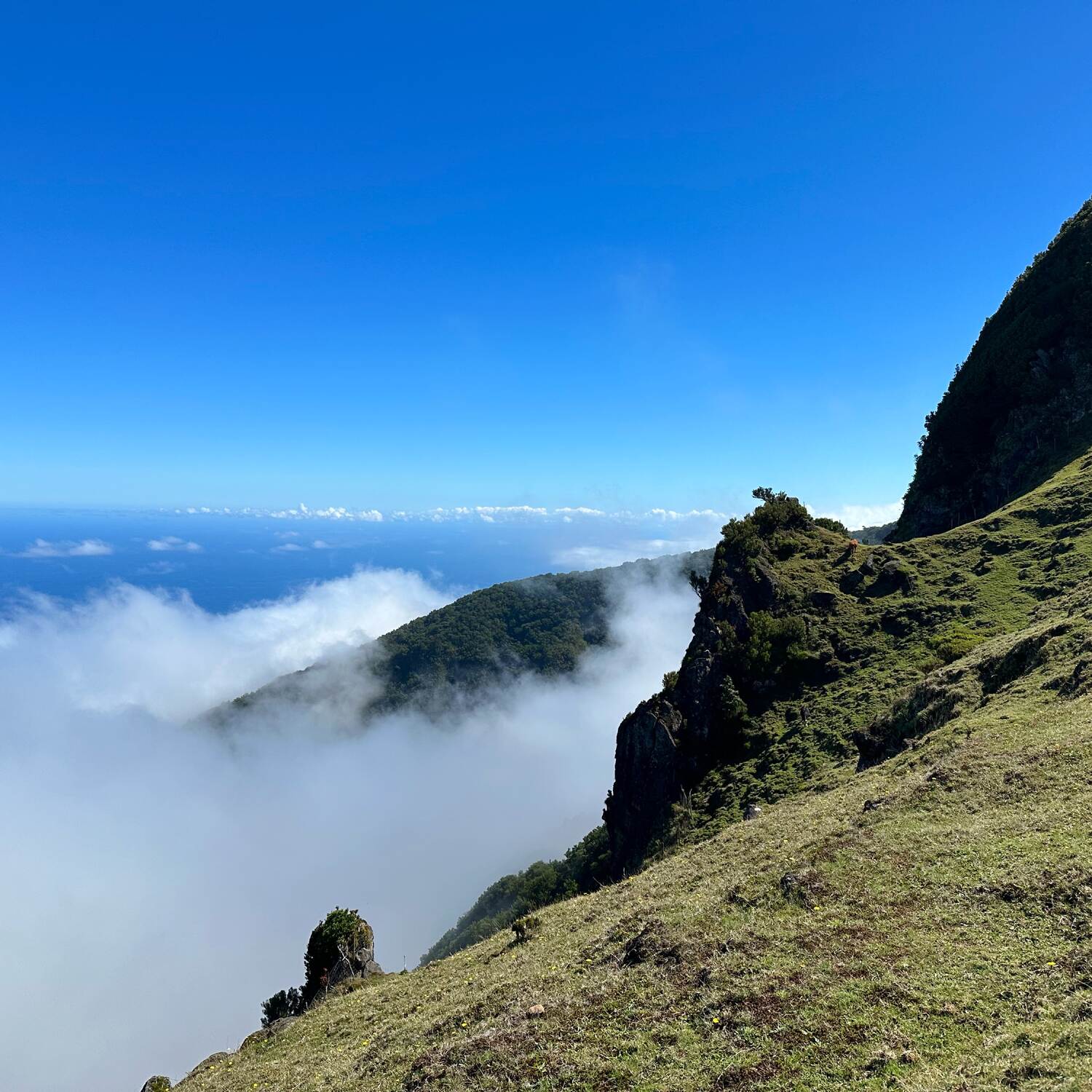 Madeira 🇵🇹