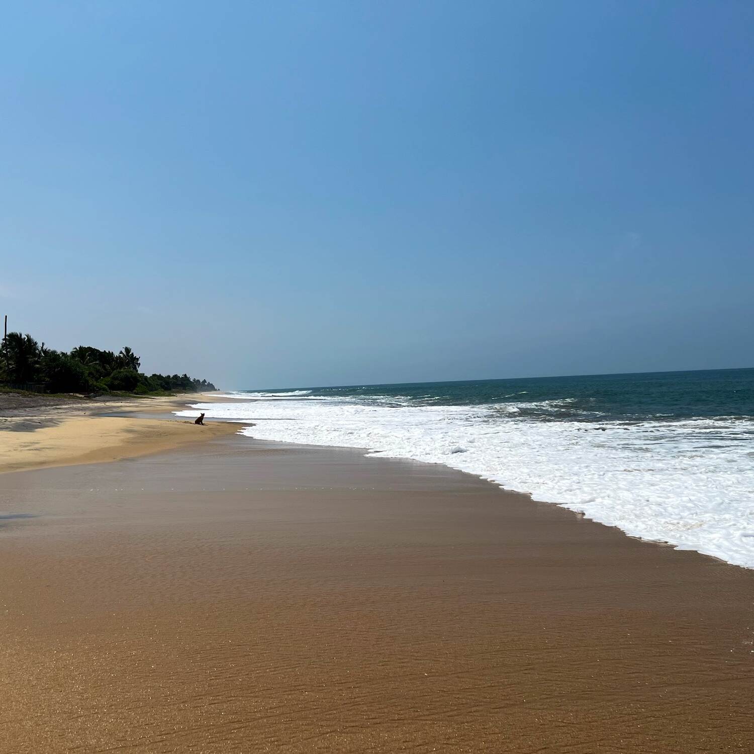 Sri Lanka 🇱🇰