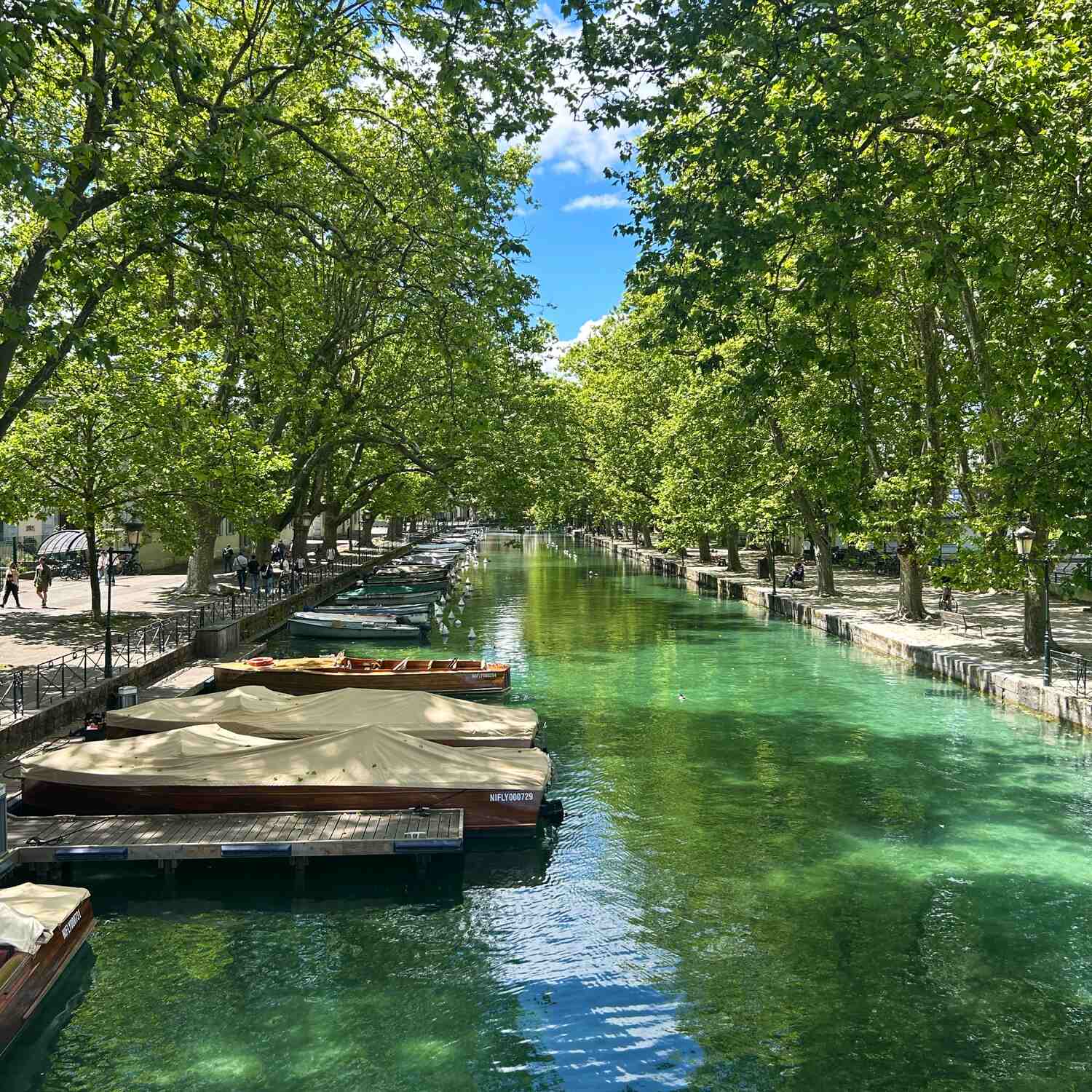 Planlos geht der Plan los