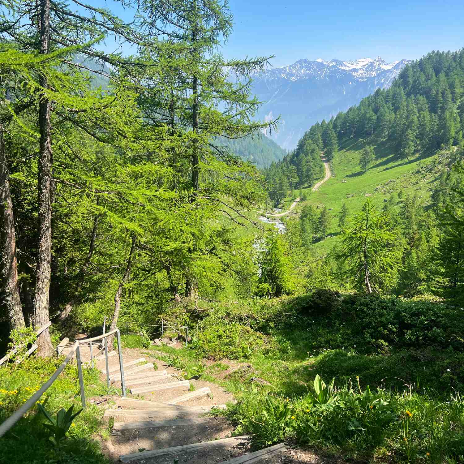 Suisse 🇨🇭